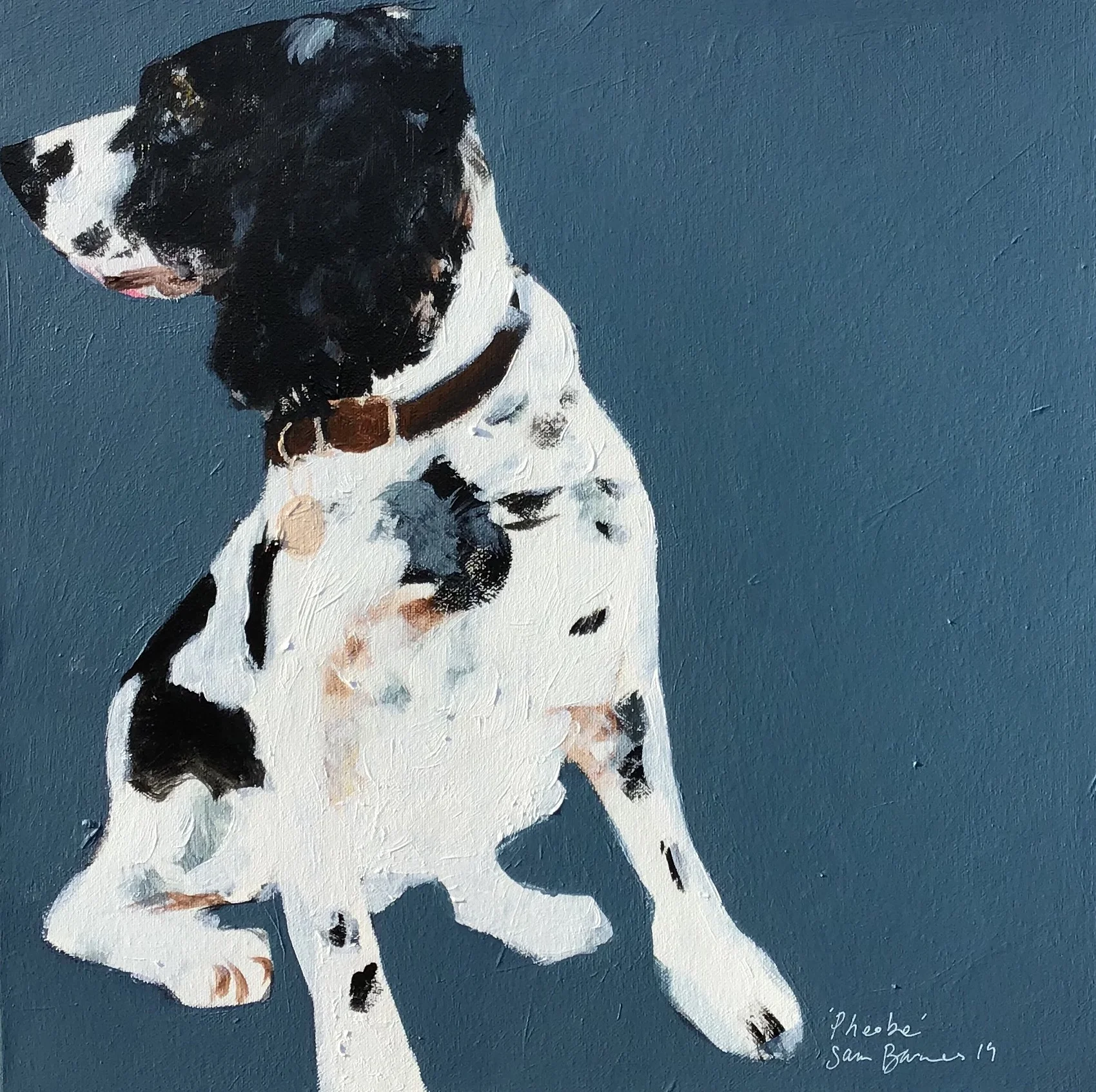Pheobe, Springer Spaniel (Sister to Oscar)