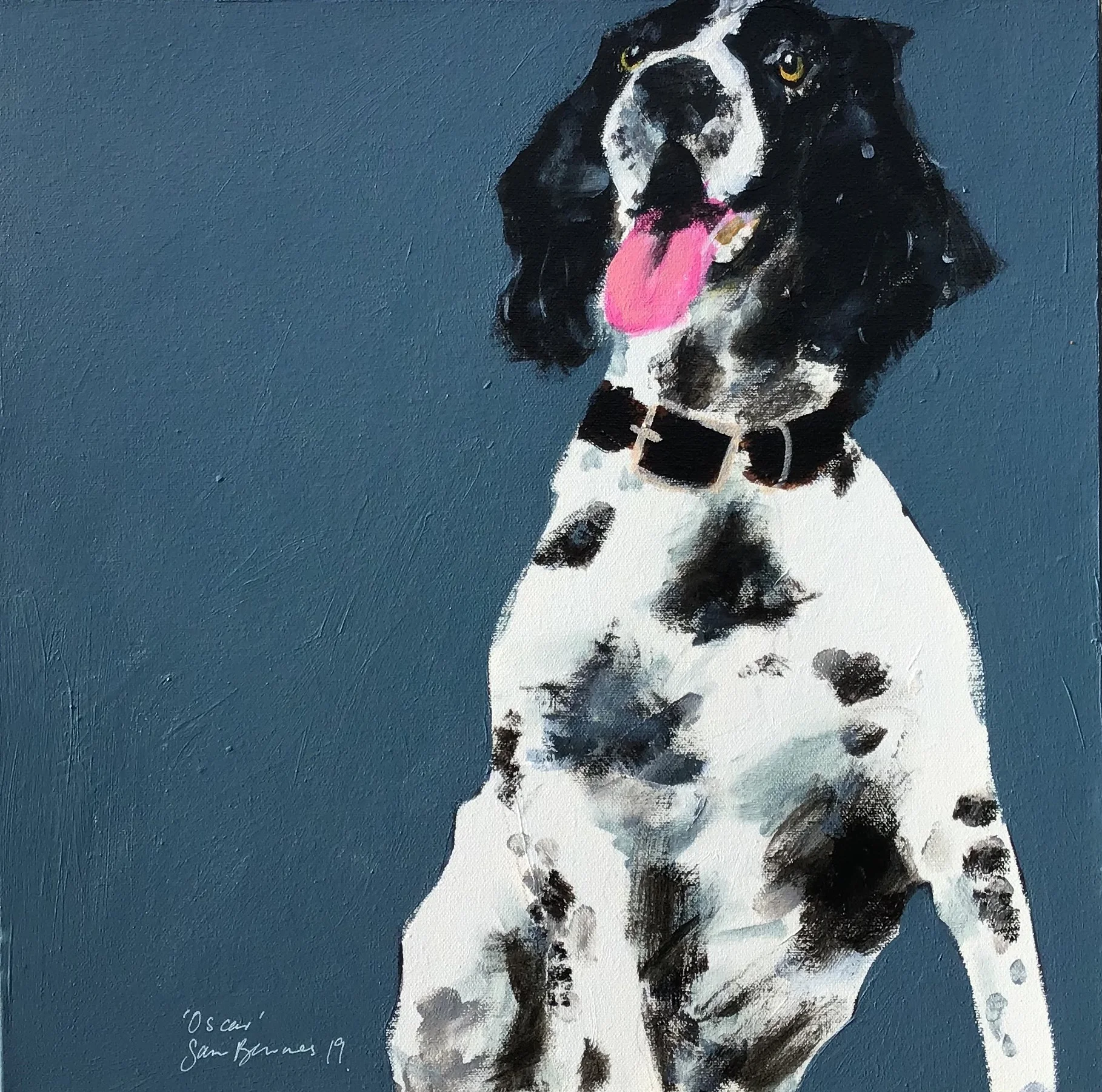 Oscar, Springer Spaniel. (Brother to Pheobe)