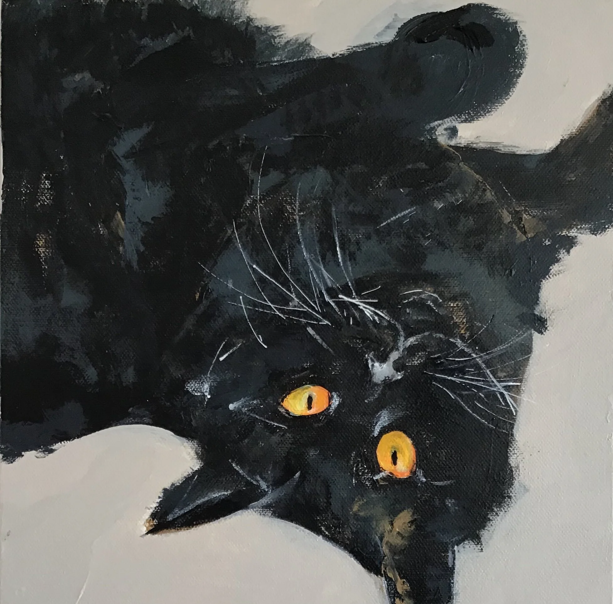 Badger The Cat