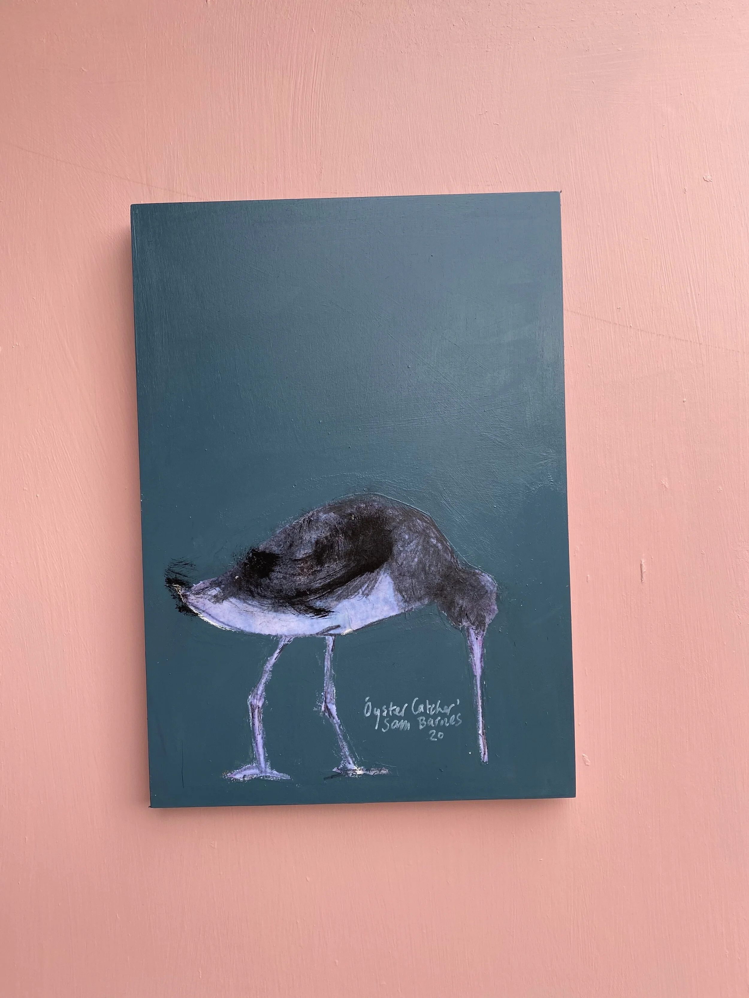 Painting of an Oyster Catcher Bird by Samantha Barnes