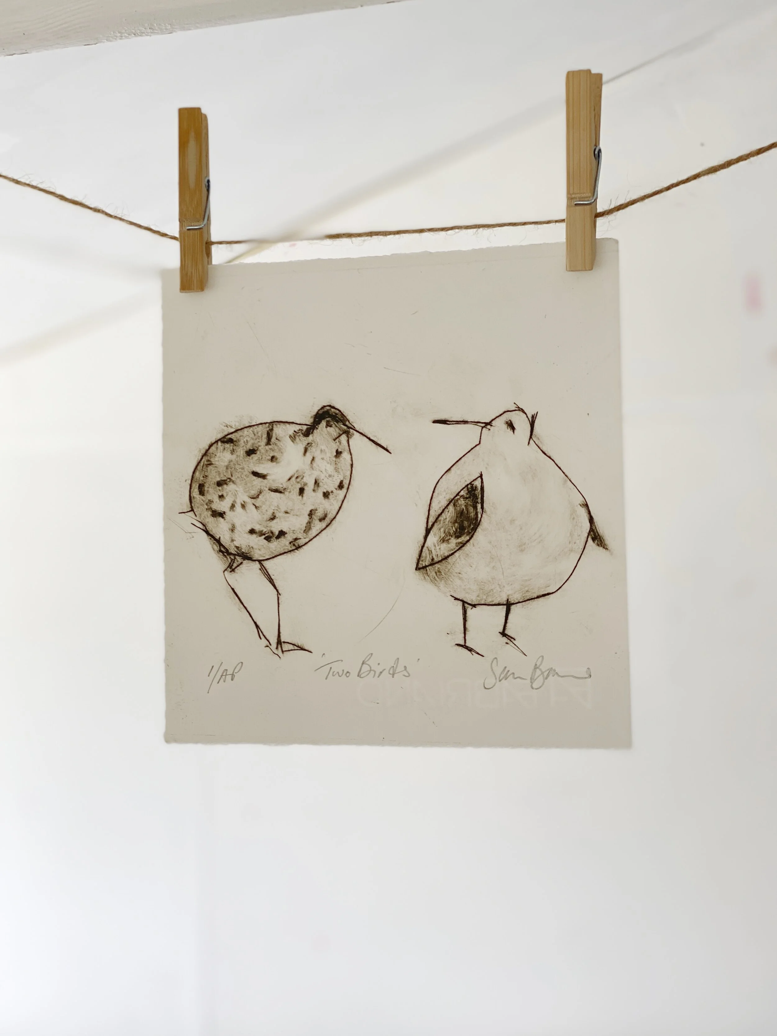'Two Birds'