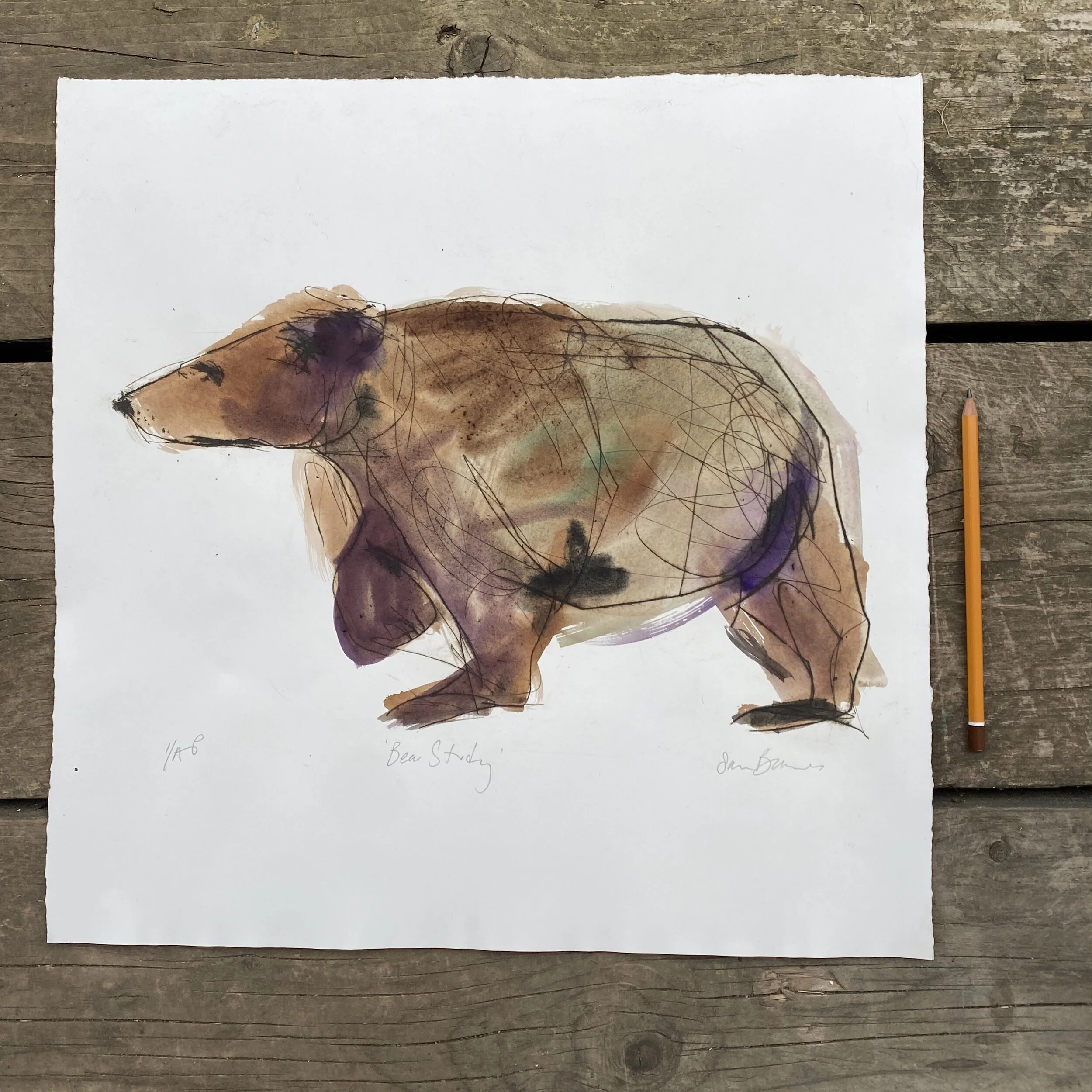 'Bear Study'