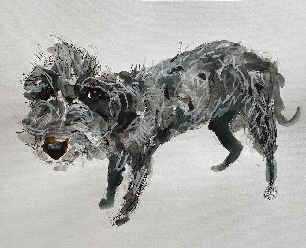 Small Bedlington.jpeg