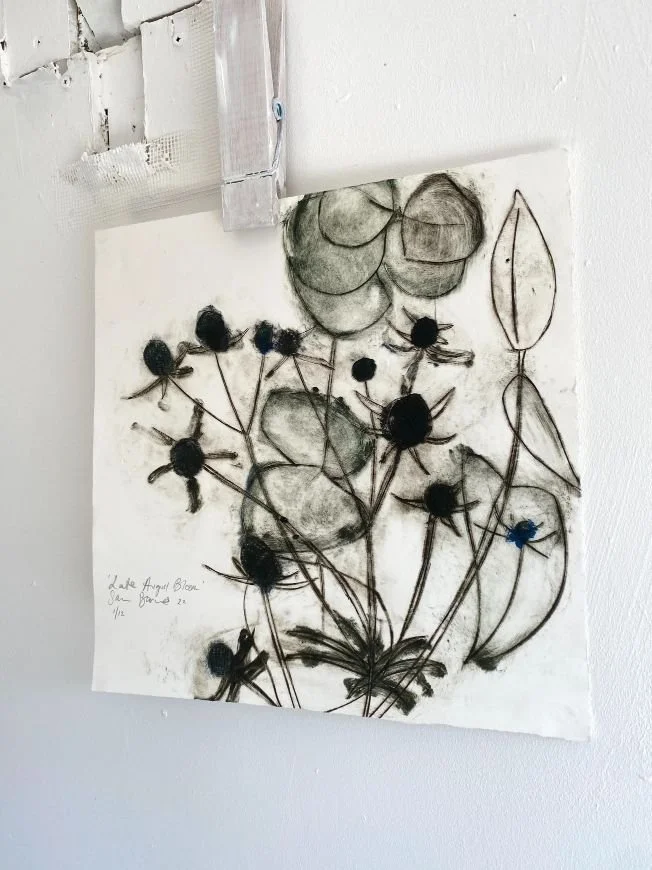 'Late August Bloom'. Intaglio Drypoint Print by Samantha Barnes 4.jpg