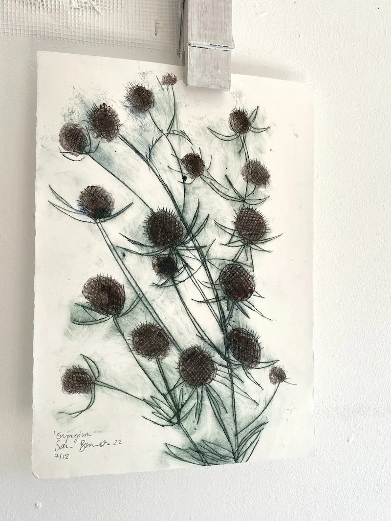 'Eryngium' Hand pressed Drypoint Print