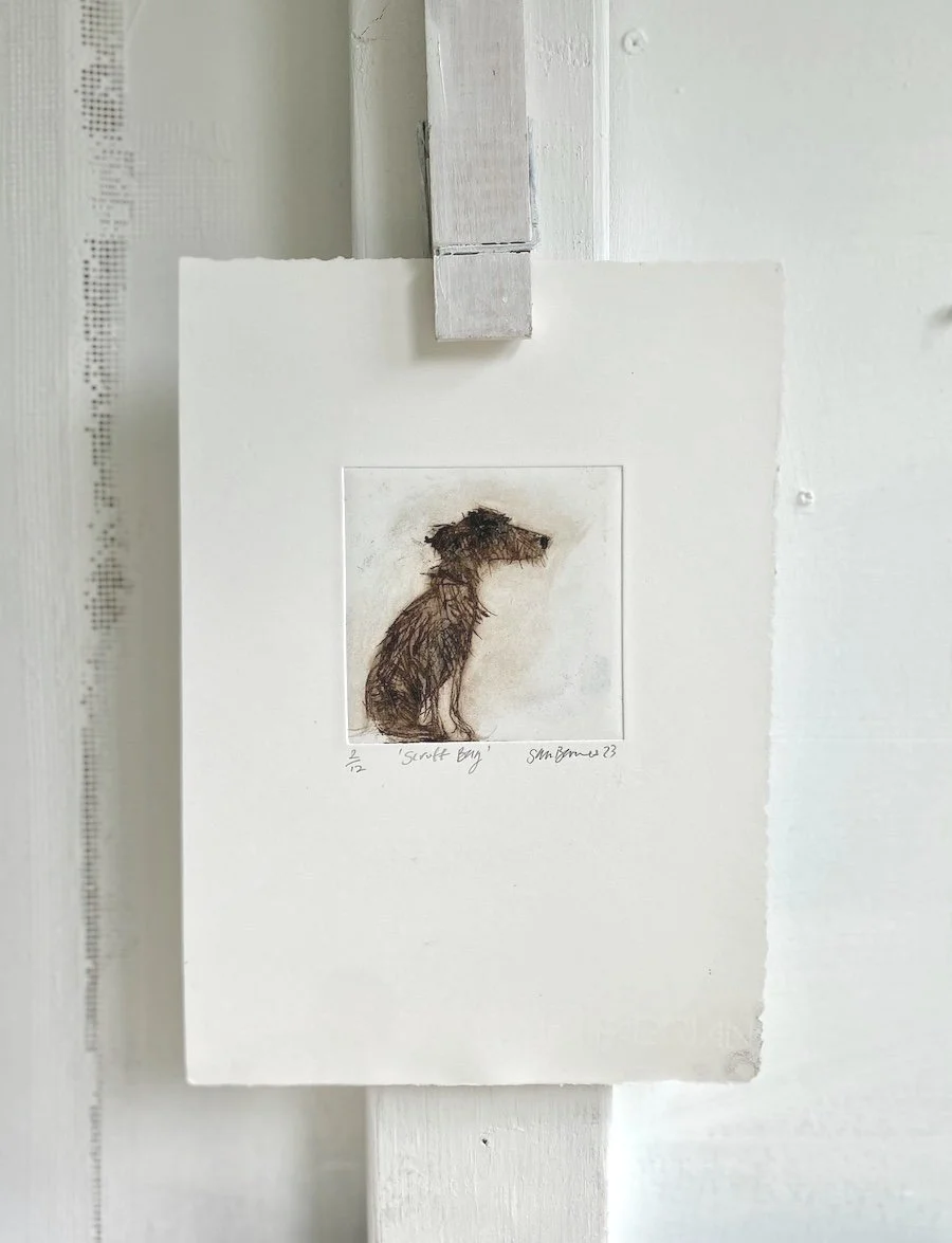 Samantha Barnes, Scruffy Dog Drawing, Drawing of a Dog, Dog Drawing, Dog Drypoint Print, Dog Art, Drawing of a fluffy dog (Copy)