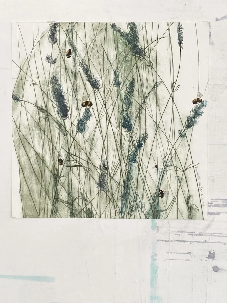'Lavender Bed' Drypoint Print by Samantha Barnes Artist