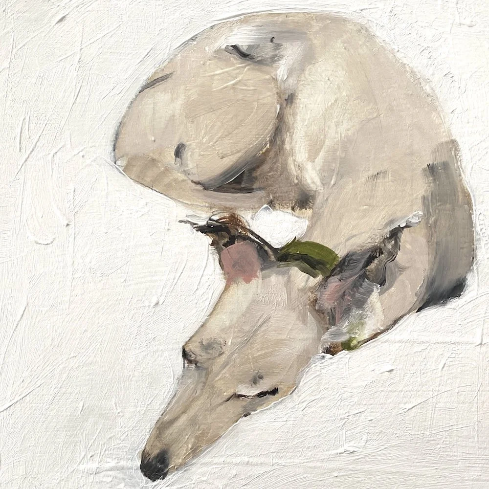 Stan Whippet copy 2.jpeg