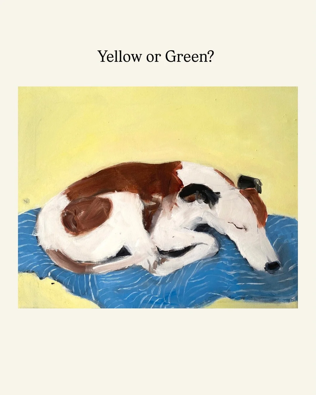 This is my second study of the day, I think I&rsquo;ve overworked here a bit.

Now then, background to stay yellow or try a darker deep green? 
I&rsquo;d love your thoughts&hellip; Poll below x 

Much love Sam x 

#DogPainting
#PetPortraitArtist
#Dog