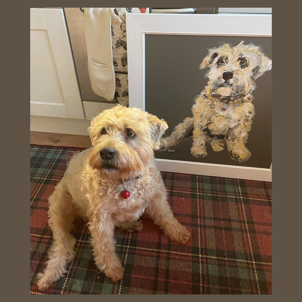 Noah instagram copy.png