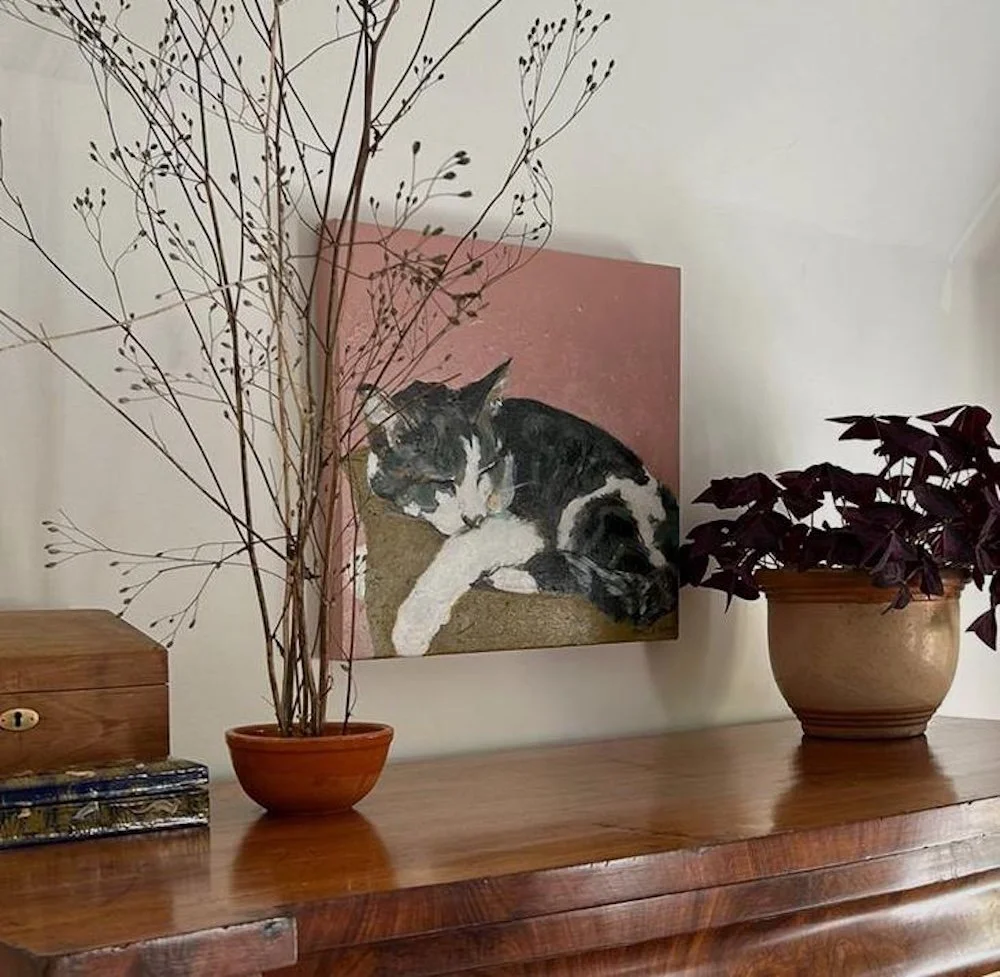 Piper Cat at home copy.jpg