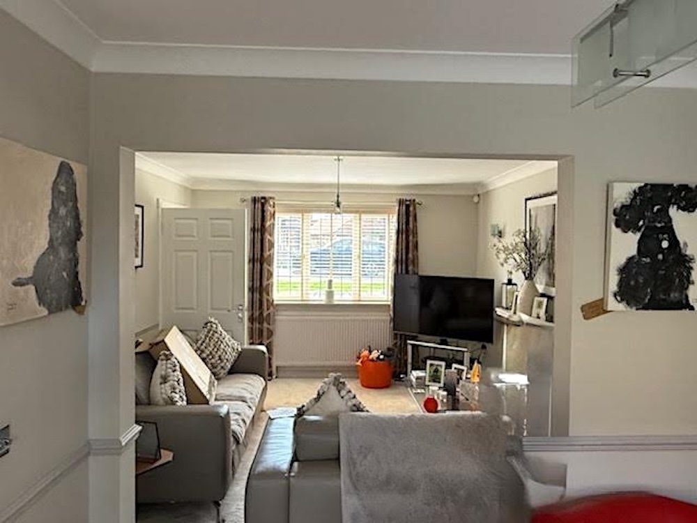 Two spaneils copy.jpg