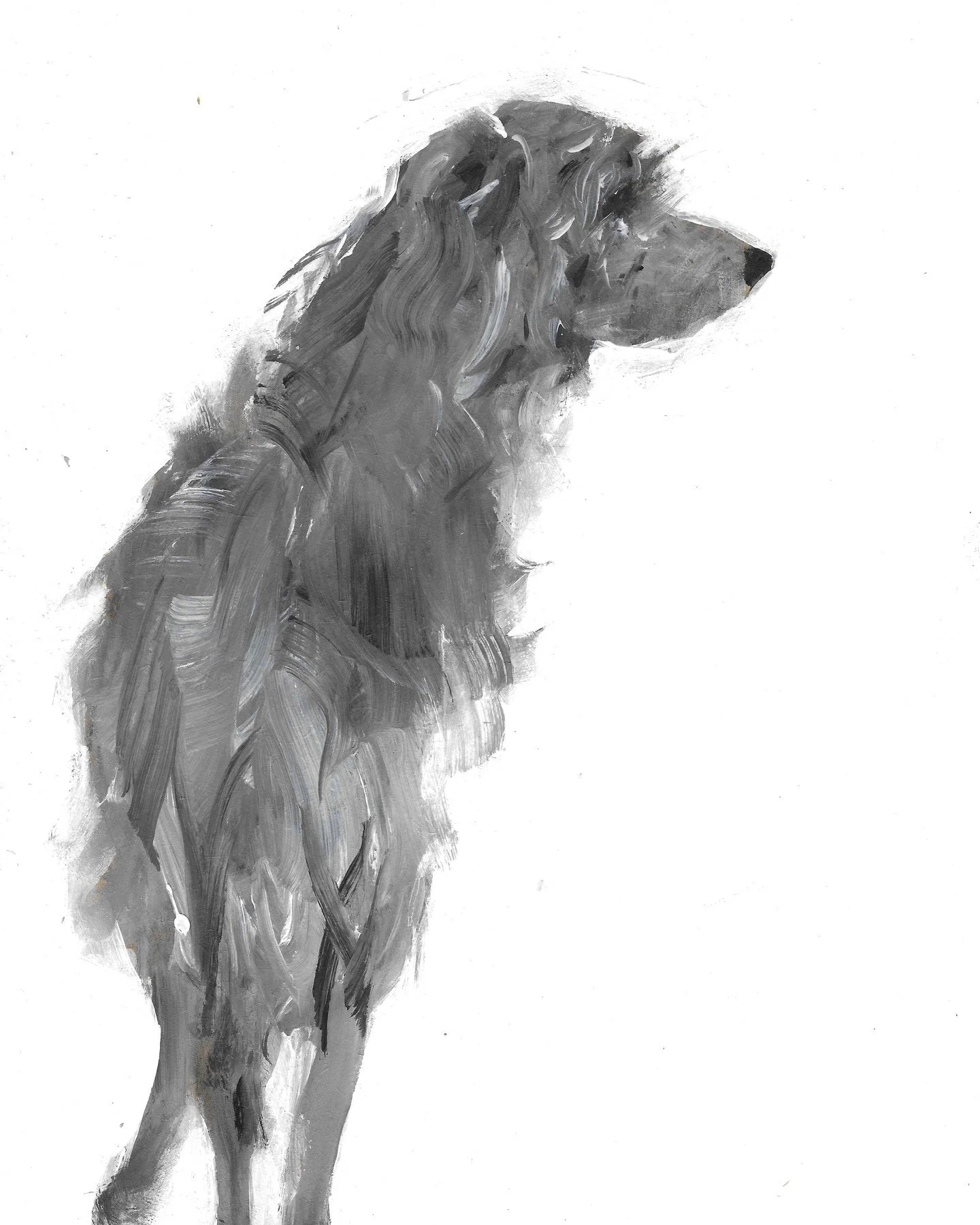 I absolutely a d o r e drawing and painting dogs ❤️

There's a difference now that I'm fully painting in oil paint on board or canvas, this medium brings more choices.

Choices around how best to represent each dog, how best to bring freshness freedo