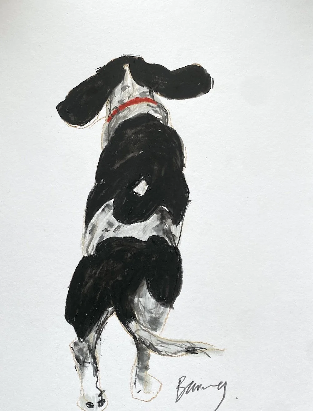 Cocker Spaniel Walking Small Drawing 1 copy.jpeg