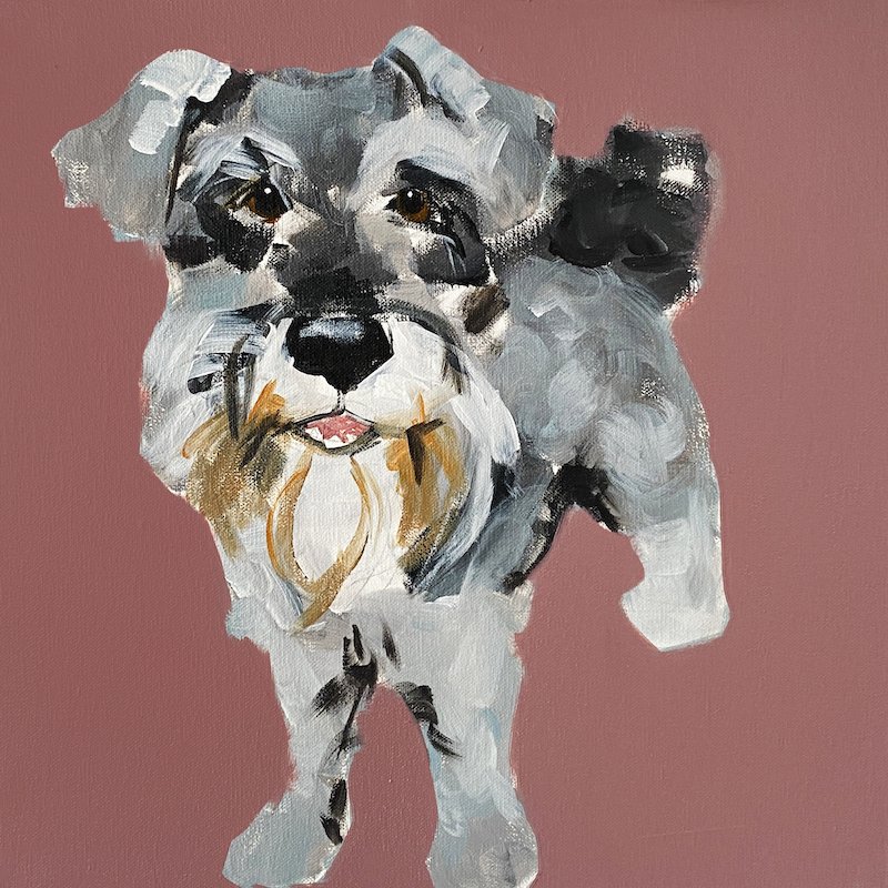 'Schnauzer Joy' UNSigned Art Print by Samantha Barnes 2 copy.jpeg