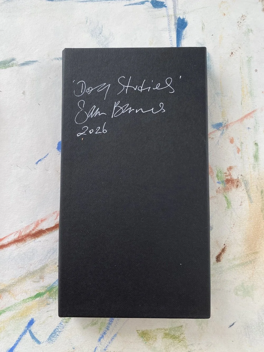 Samantha Barnes 12 dogs sketchbook artist 10.JPG