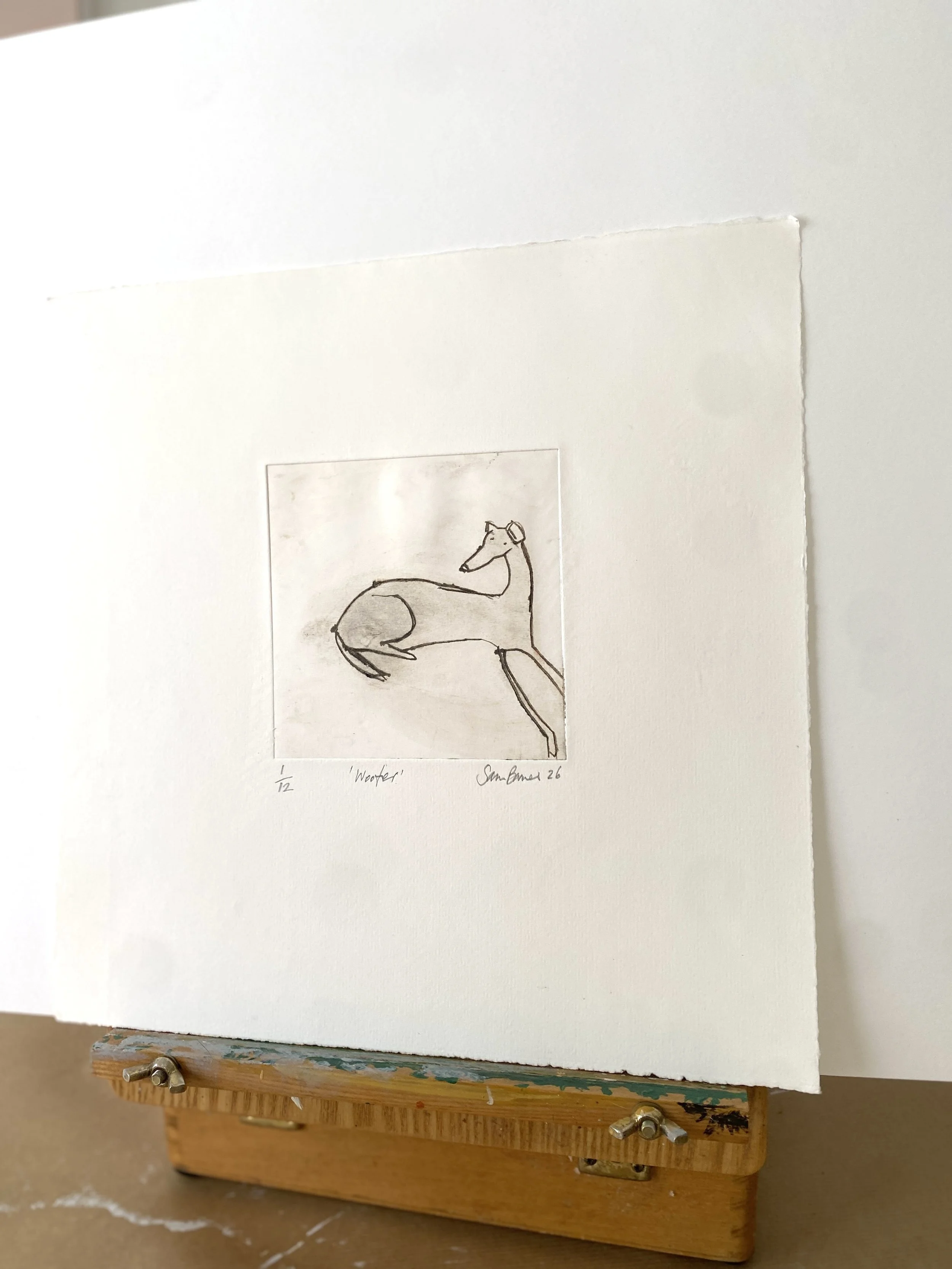 'Woofer'. Dog Drypoint Drawing by Samantha Barnes 2.JPG