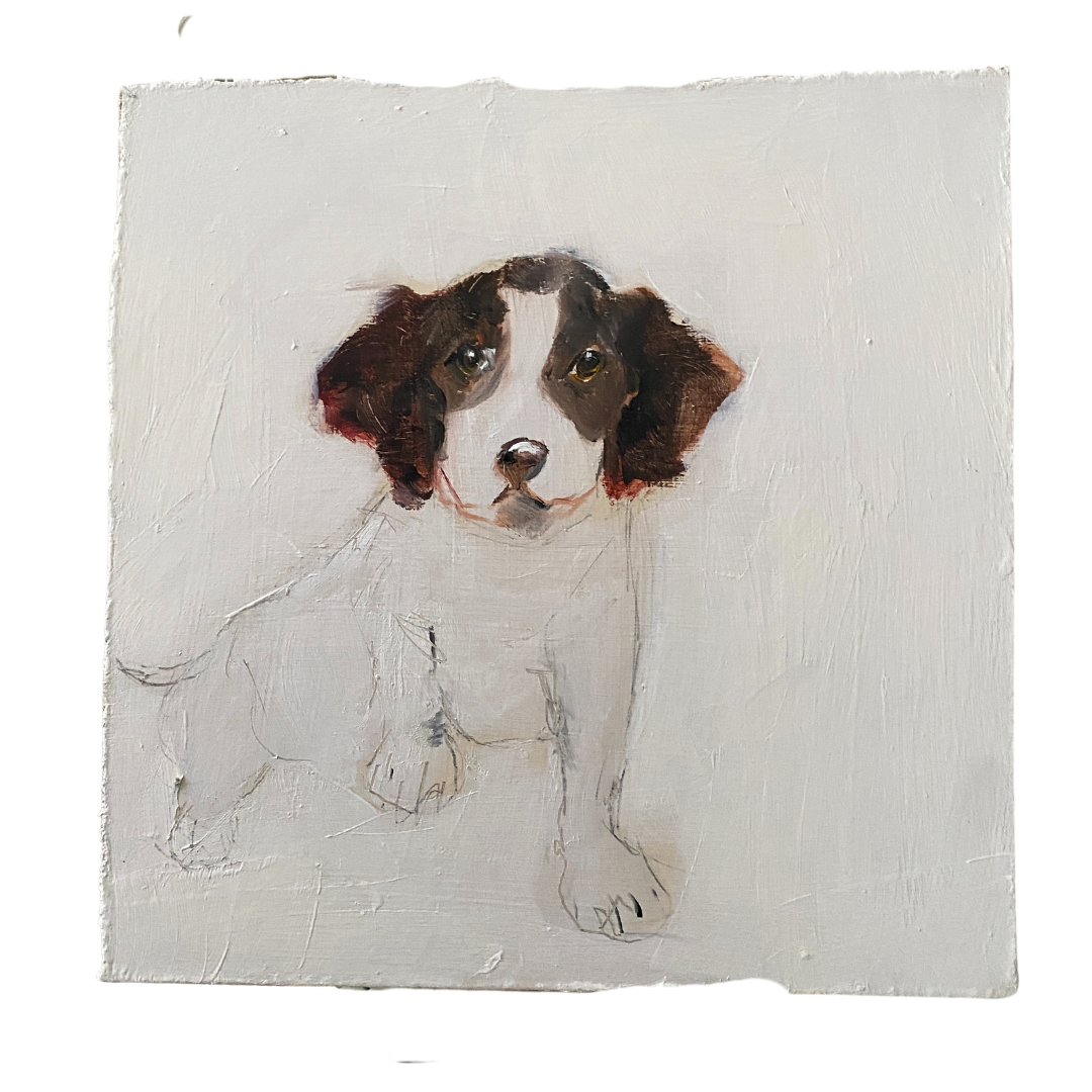 Spaniel Painting A Dog A Day by Samantha Barnes Artist