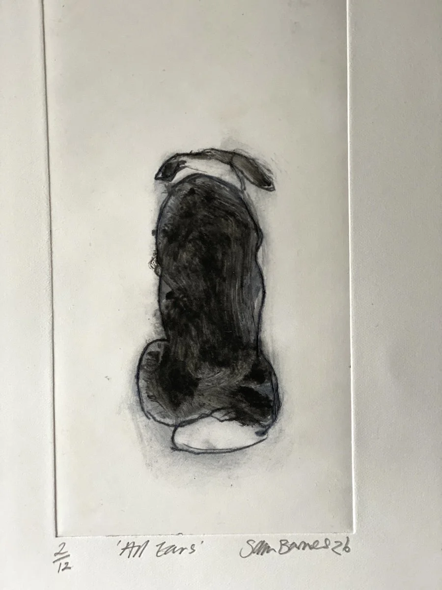 'All Ears' Dog Drypoint Print by Samantha Barnes Artist.JPG