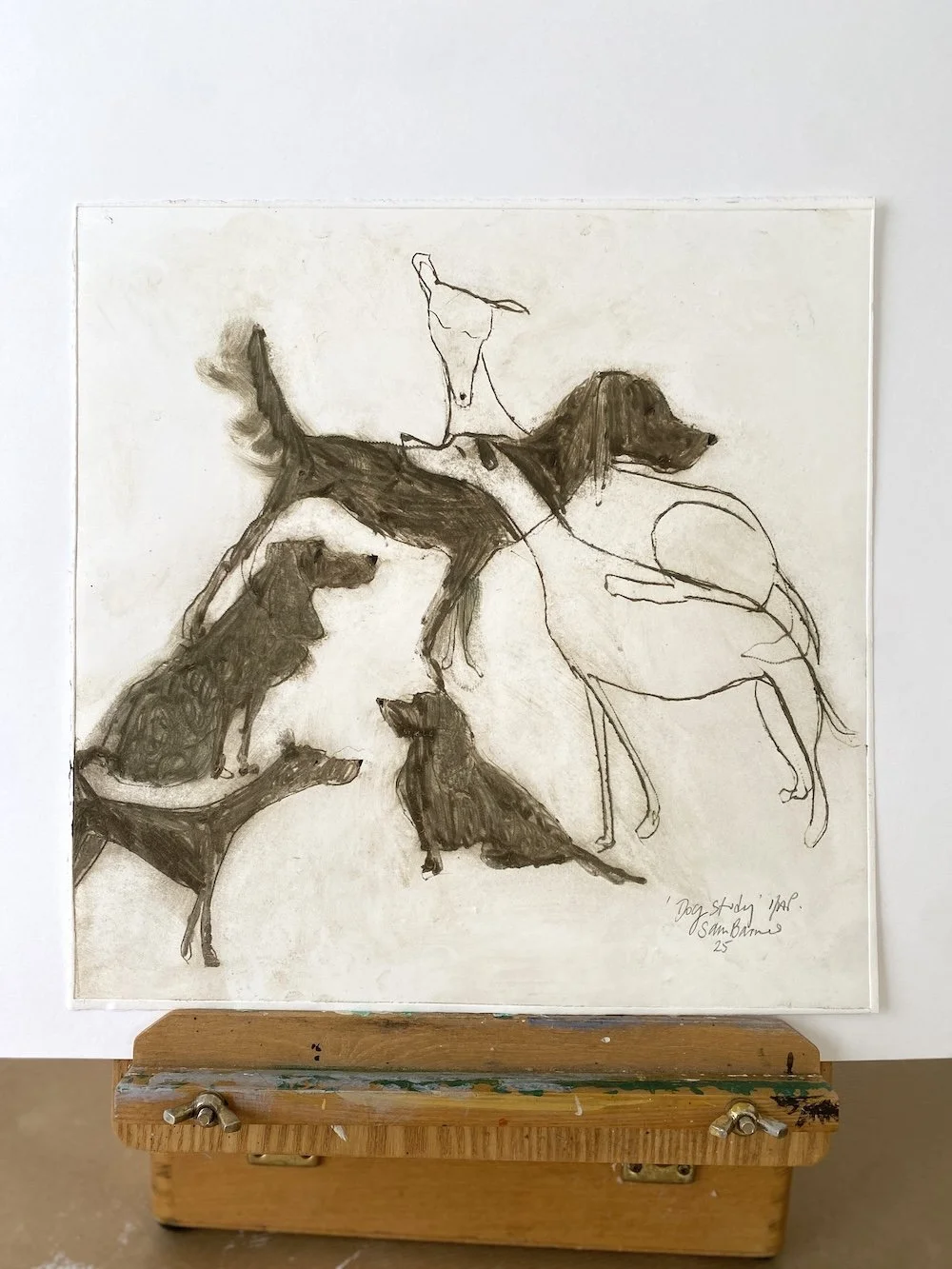 Dog Study'. Dog Drypoint Drawing by Samantha Barnes 5 copy.JPG