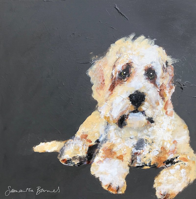 'Cockerpoo Blonde' Signed Master by Samantha Barnes_sig copy.jpg