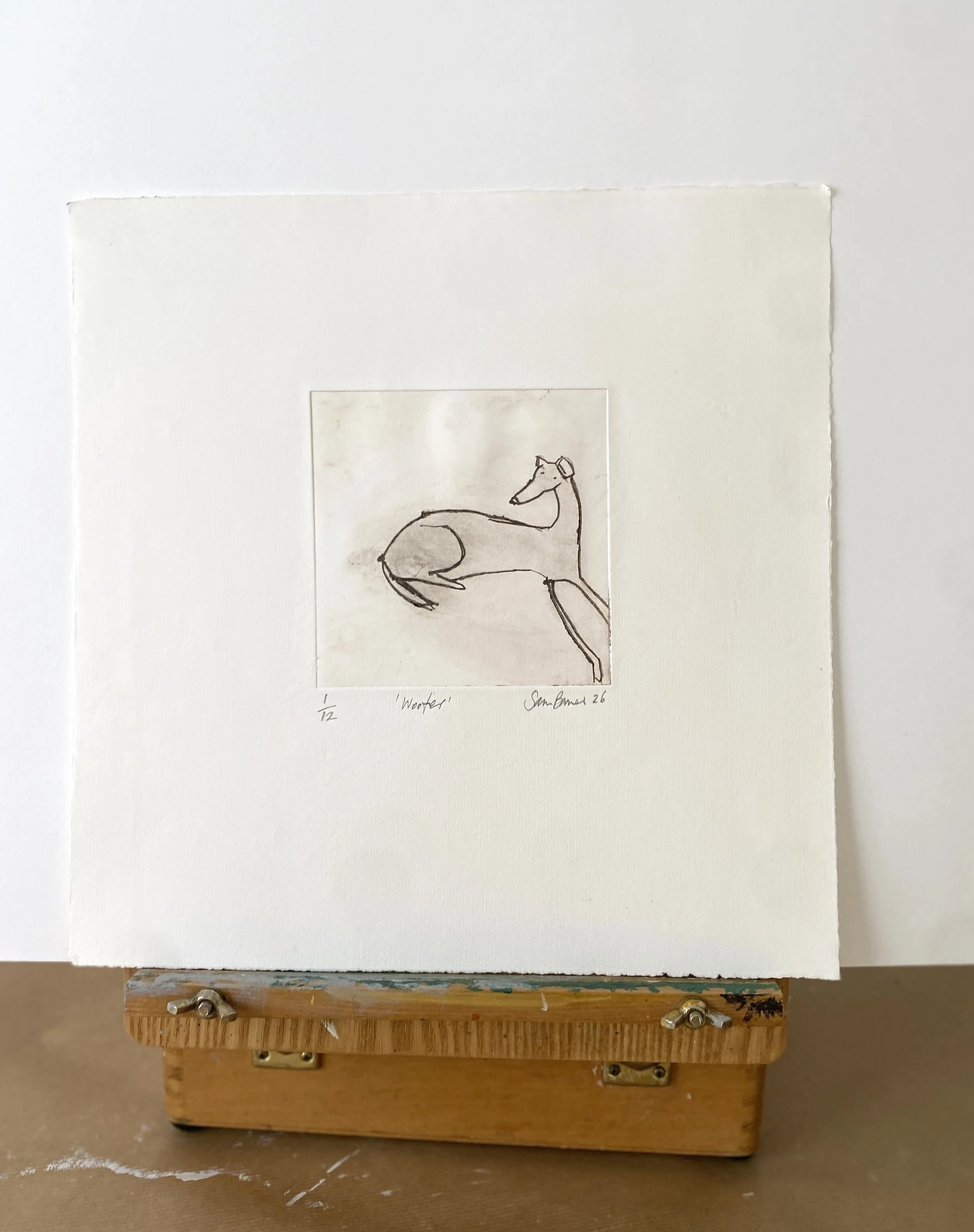 'Woofer'. Dog Drypoint Drawing by Samantha Barnes 4.JPG