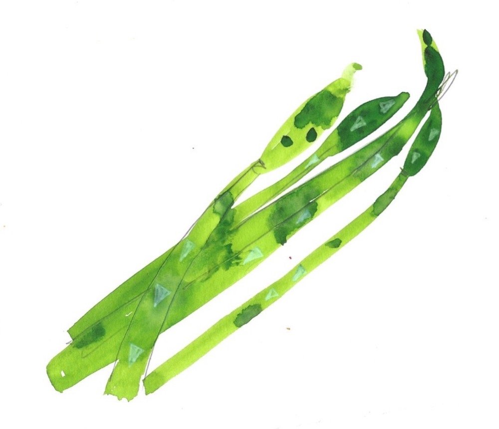 'Eat Like an Artist' Samantha Barnes Bowl of Asparagus copy.jpeg