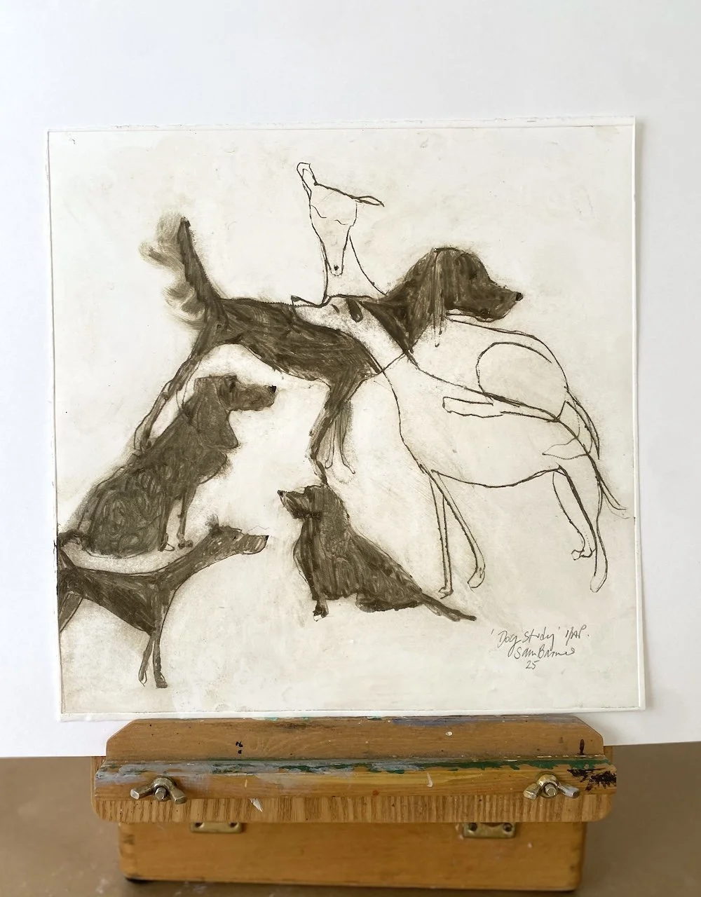 Dog Study'. Dog Drypoint Drawing by Samantha Barnes 3 copy.JPG