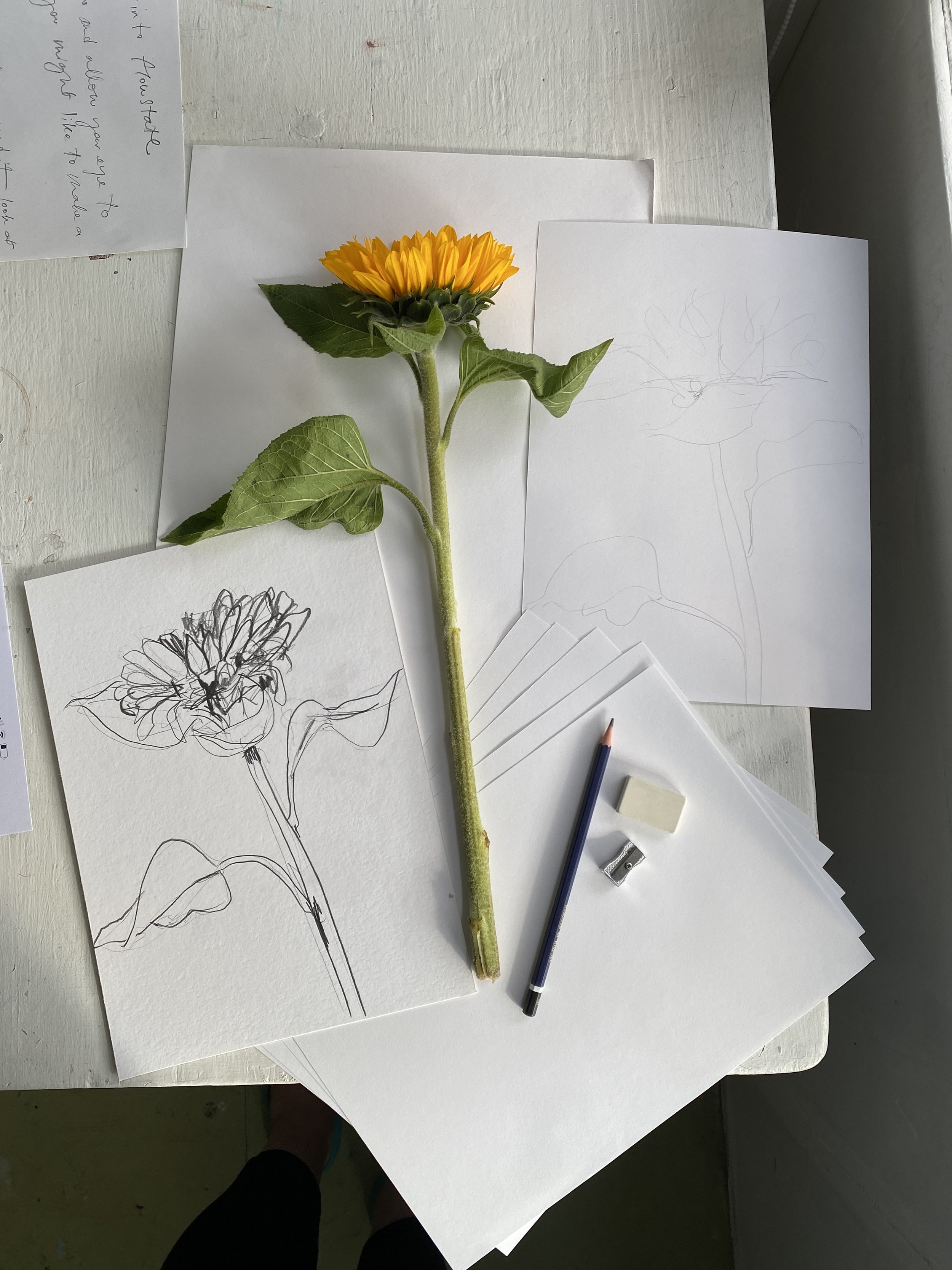 The Story of My Home Drawing Kits — Samantha Barnes