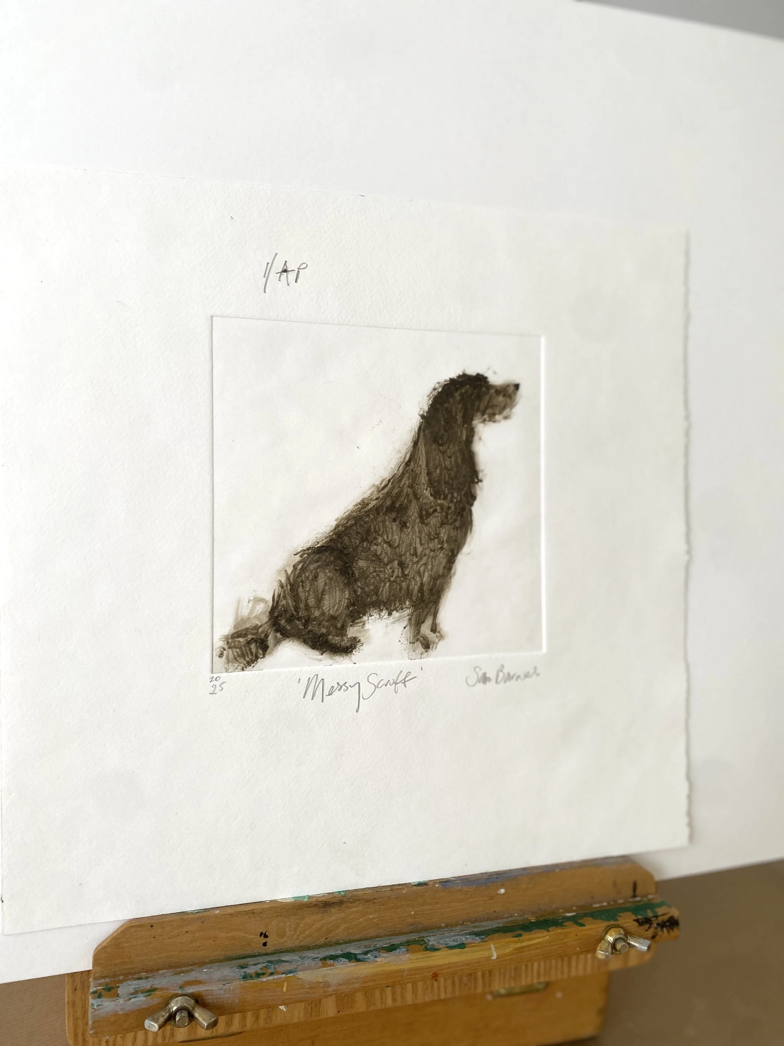 'Messy Scruff'. Dog Drypoint Drawing by Samantha Barnes1.JPG