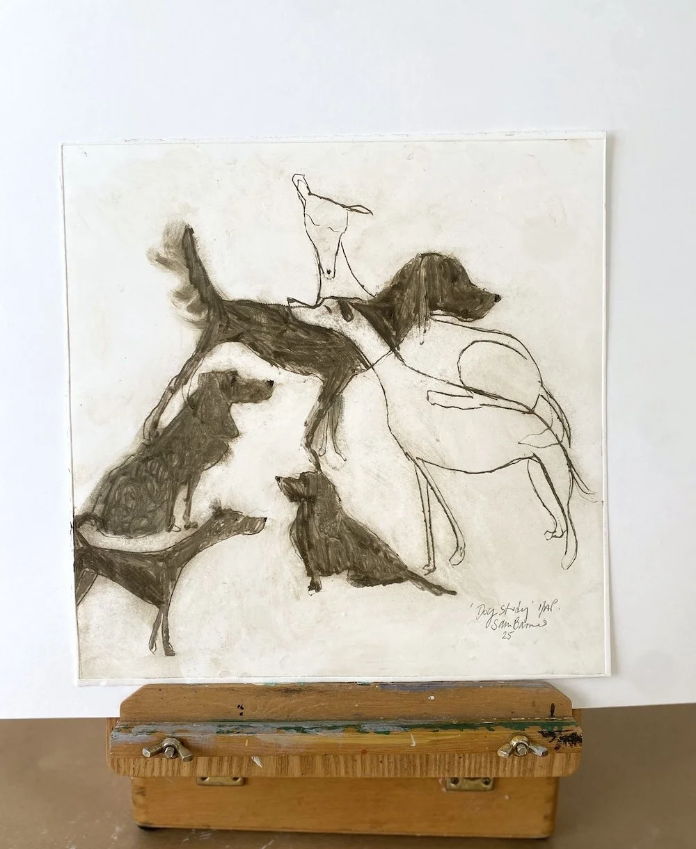 'Dog Study'. Dog Drypoint Drawing by Samantha Barnes 3 copy.JPG