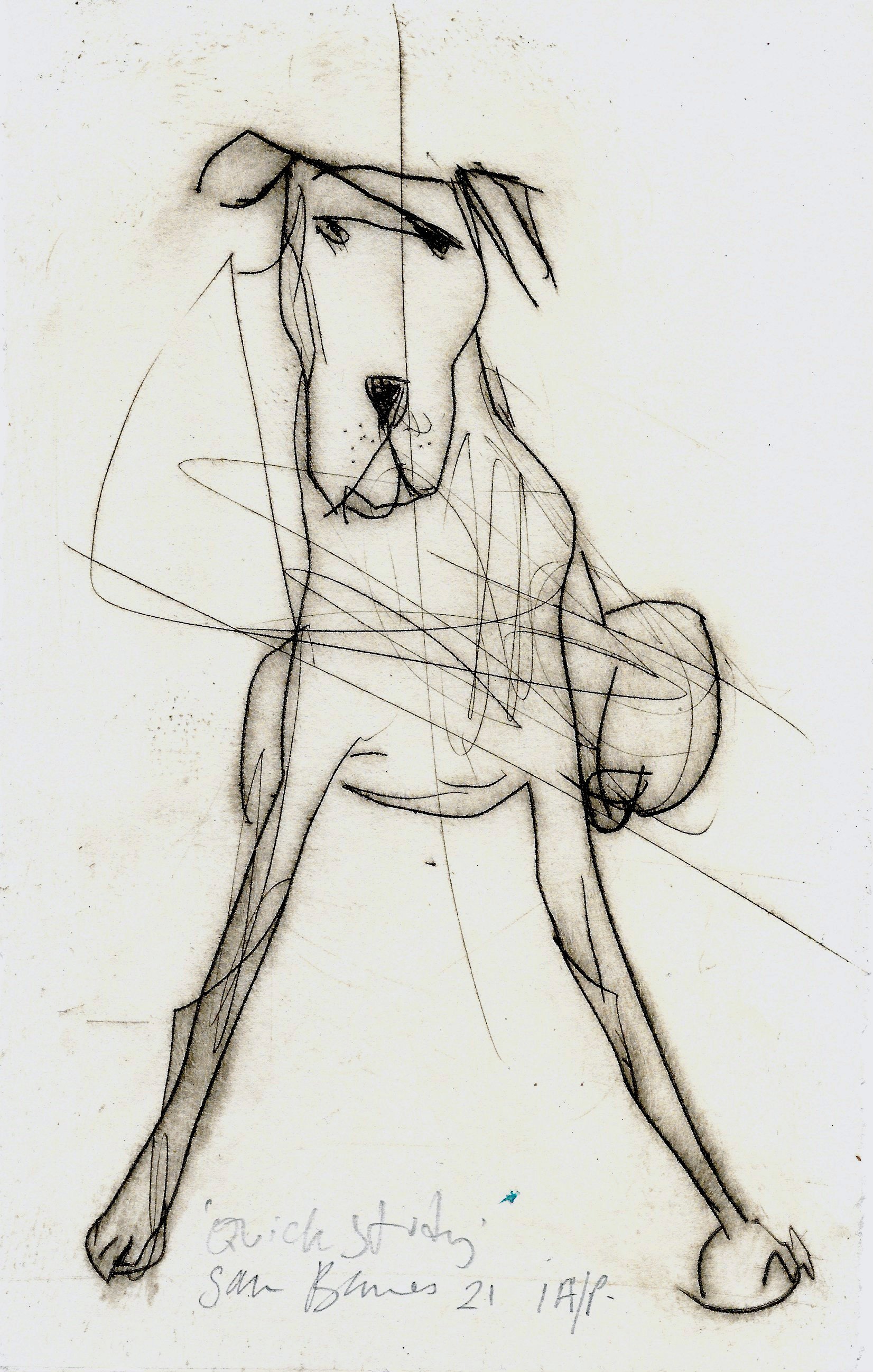 Quick Sketch Dog by Samantha Barnes Drypoint Print copy.jpeg