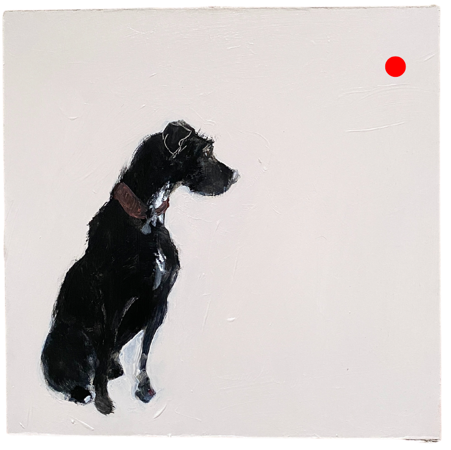 DAY 7: Patterdale. A Dog A Day