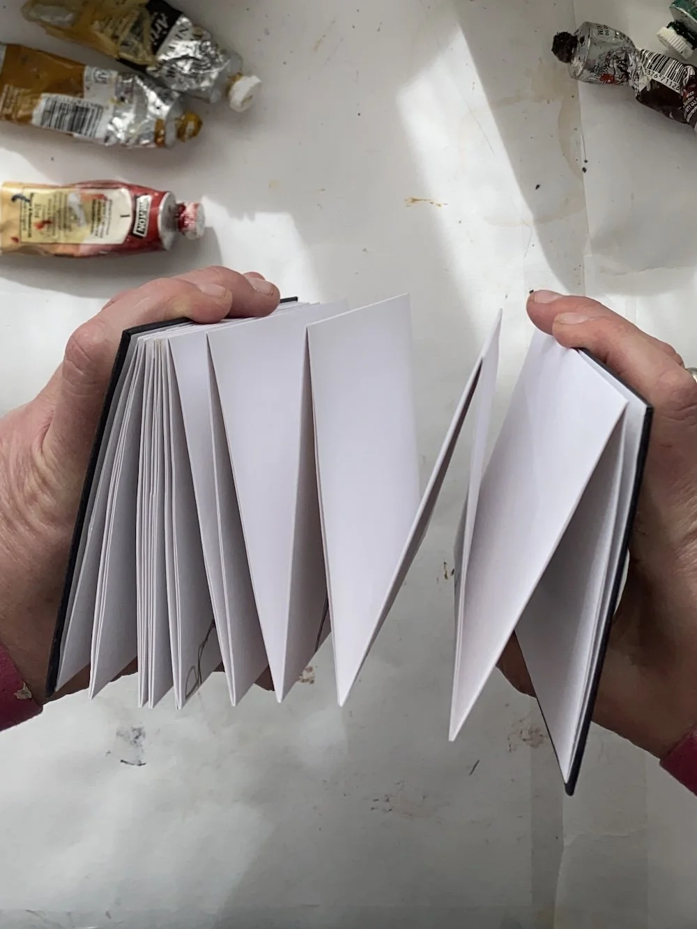 Samantha Barnes 12 dogs sketchbook artist 8.jpg