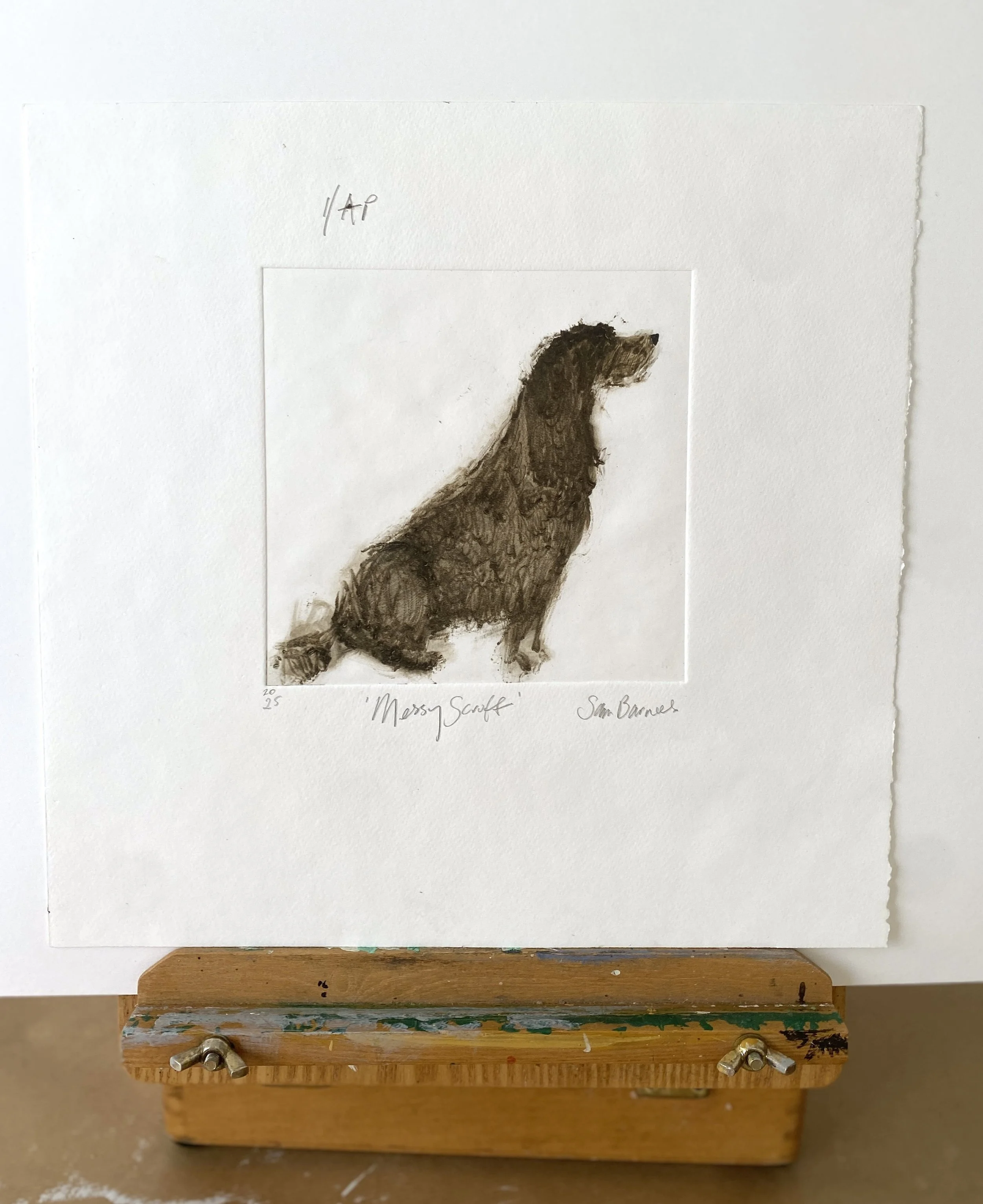 'Messy Scruff'. Dog Drypoint Drawing by Samantha Barnes.JPG