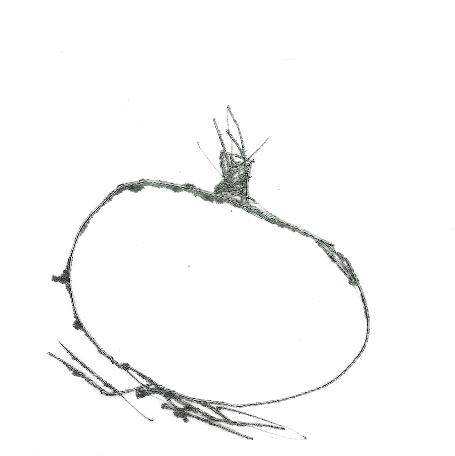 Onion Drypoint Scan by Samantha BArnes copy.png