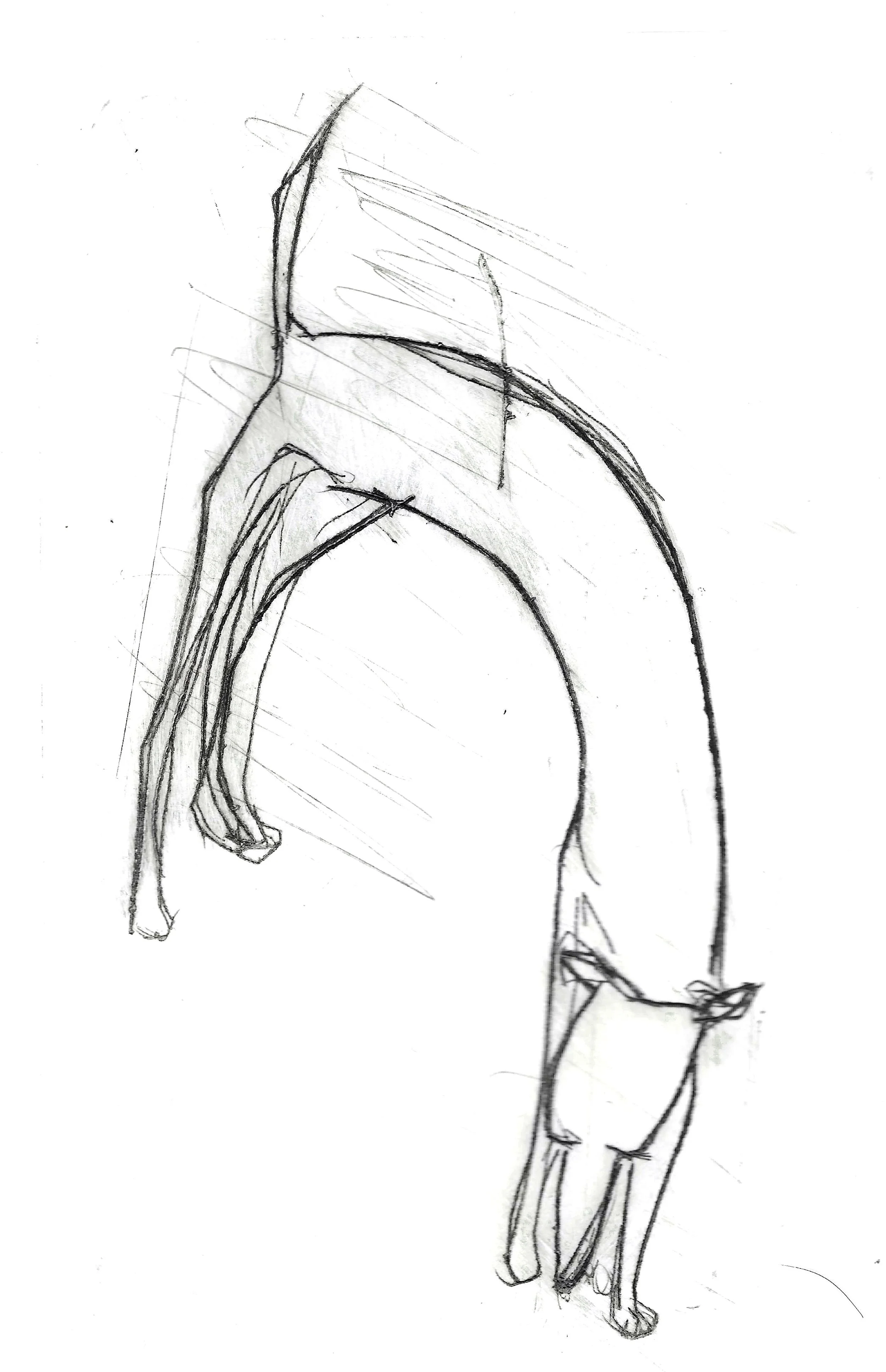 Drypoint Scans of Dogs and Bunnies.jpg