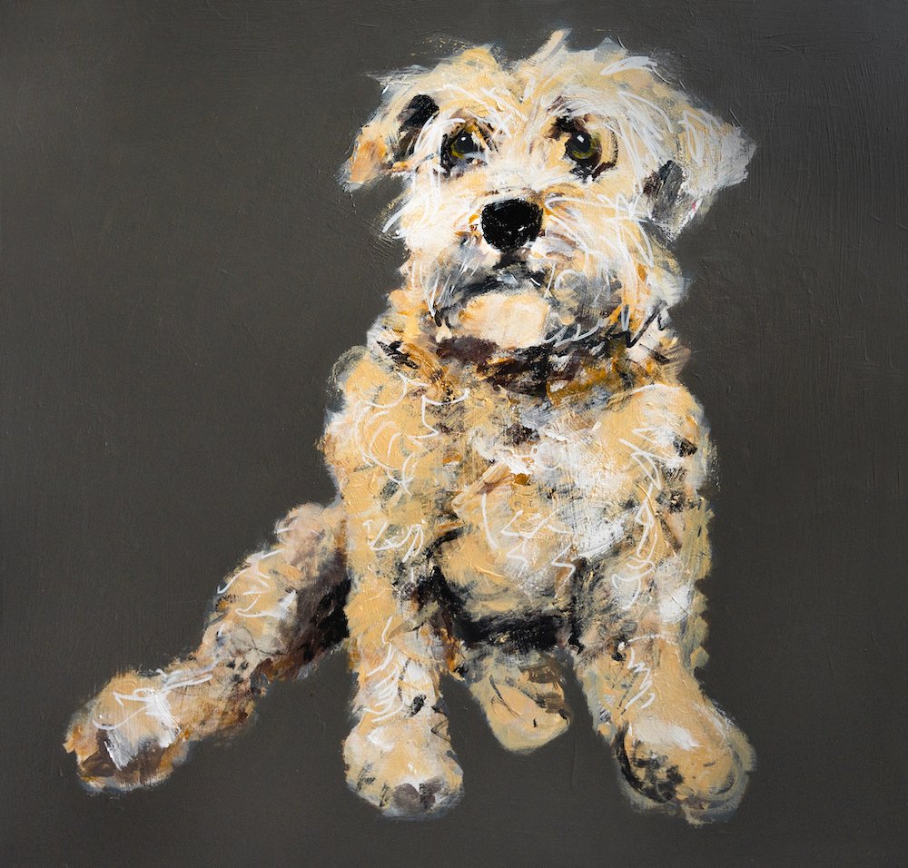 Soft Wheaten Terrier by Sam Barnes (small).jpeg