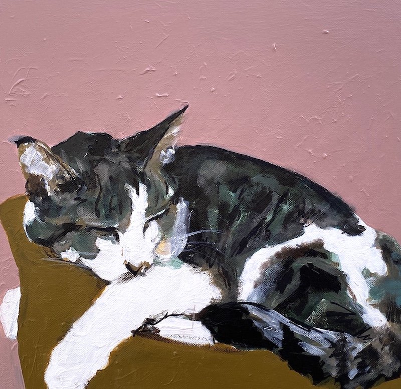 'Snoozy Cat'. UNSigned Art Print by Samantha Barnes copy.jpeg