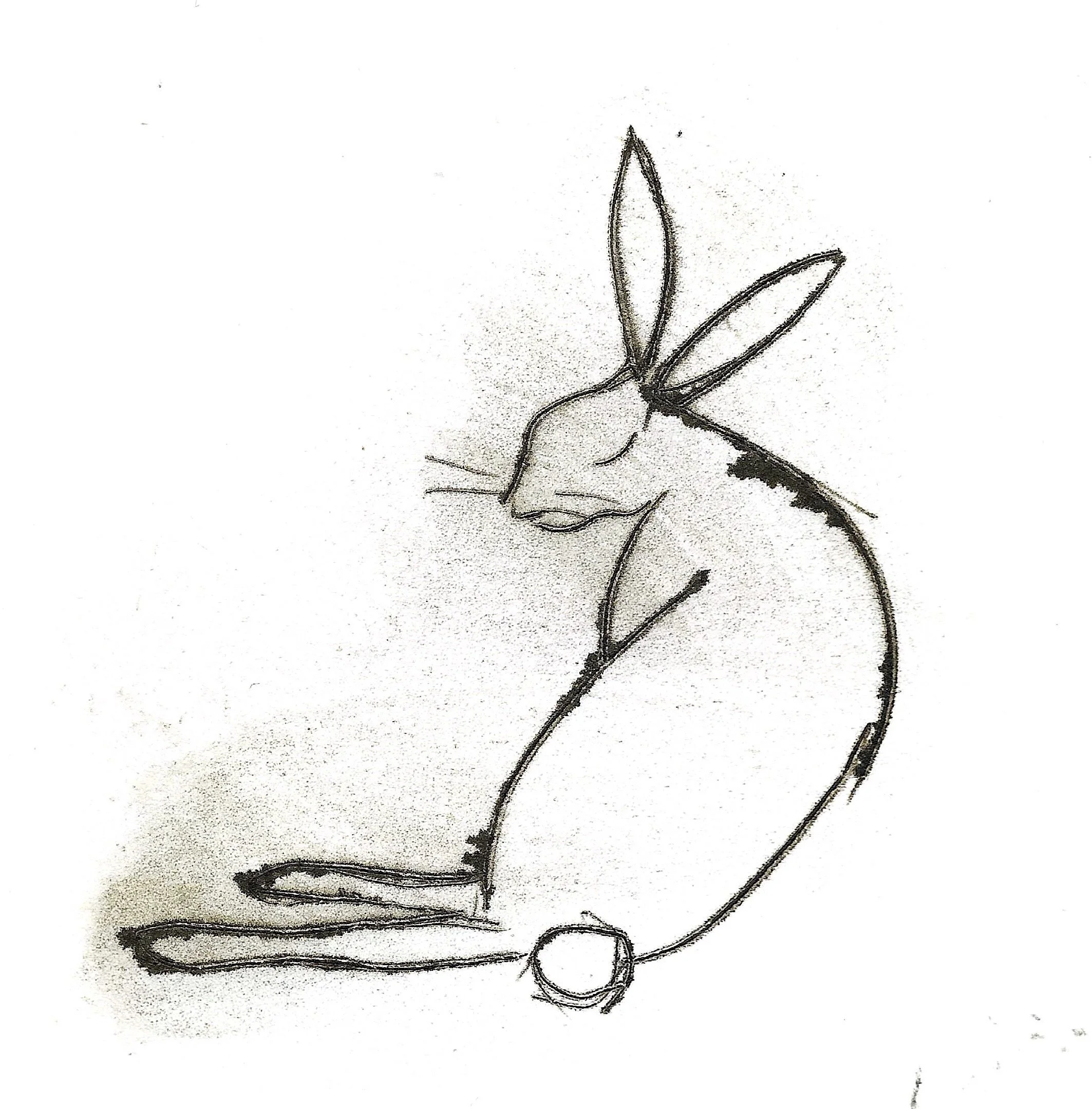 Animal Drawing & Printmaking