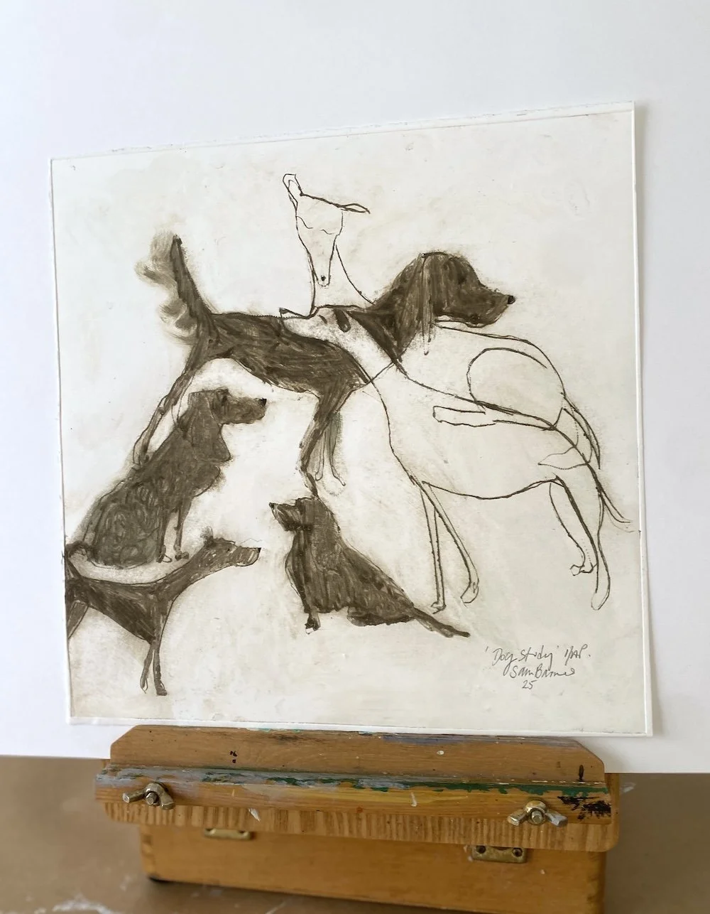 Dog Study'. Dog Drypoint Drawing by Samantha Barnes 1 copy.JPG
