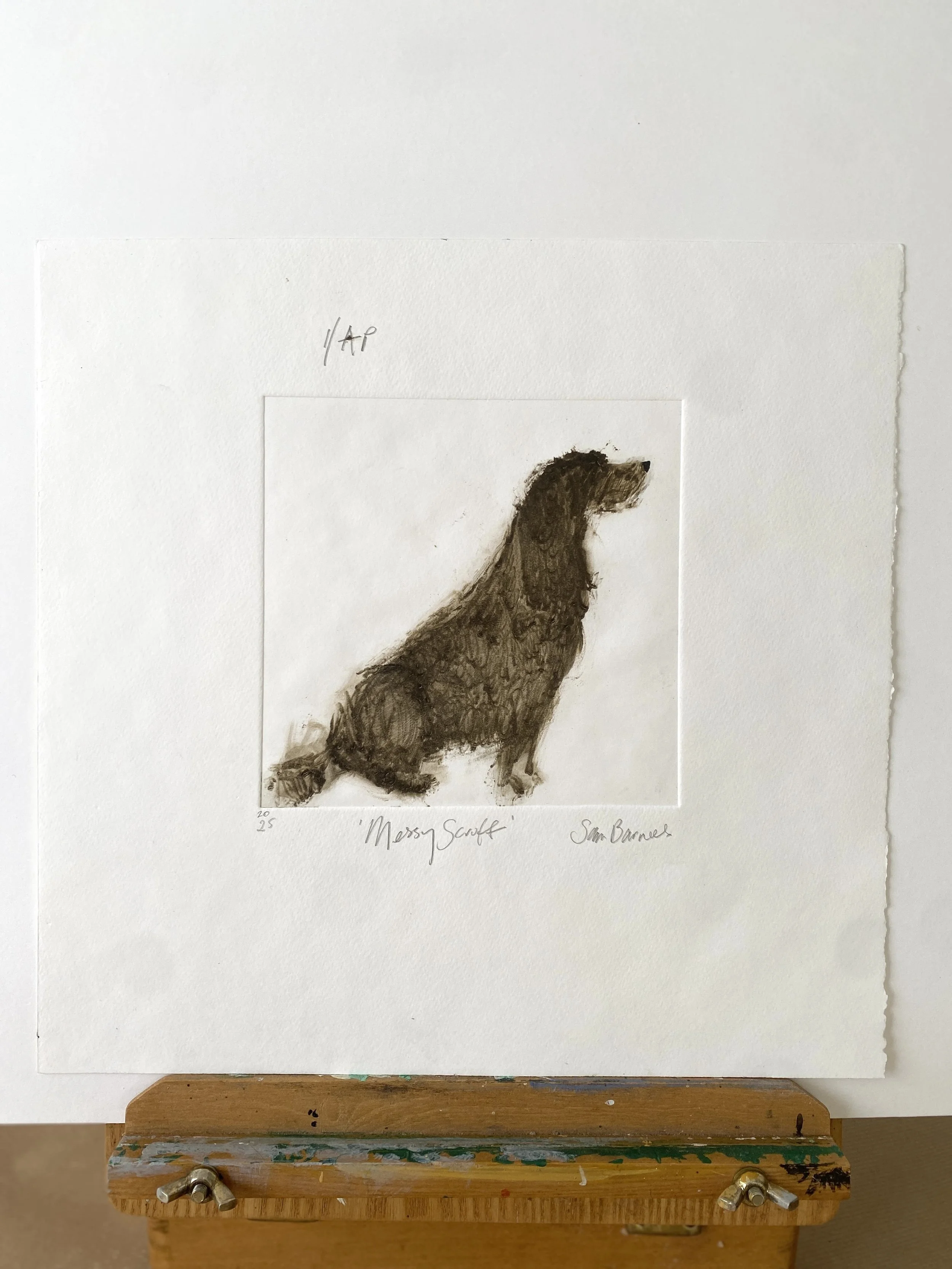 'Messy Scruff'. Dog Drypoint Drawing by Samantha Barnes 2.JPG