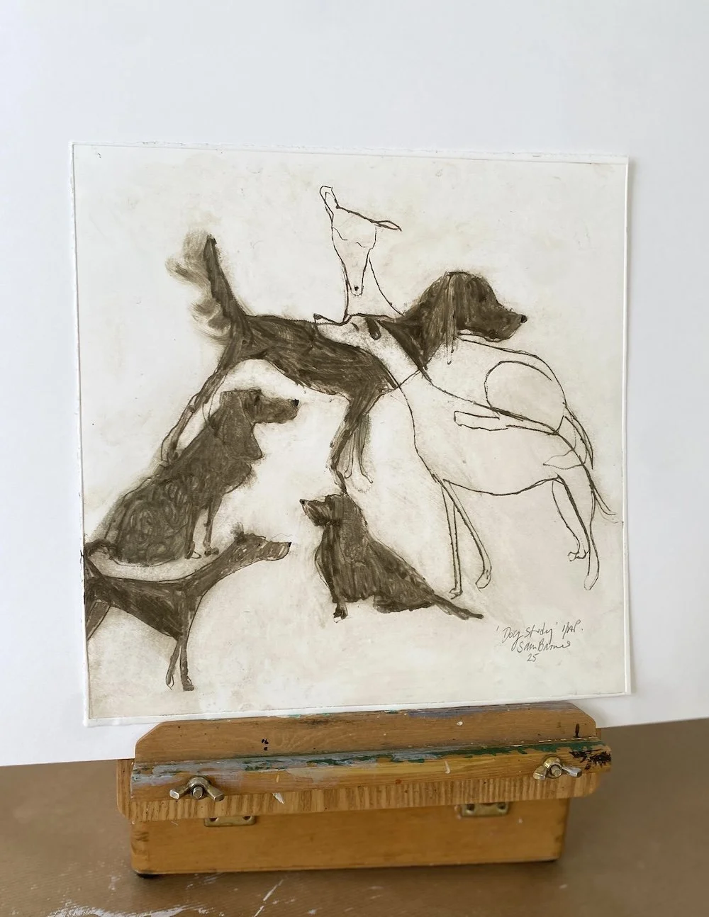 Dog Study'. Dog Drypoint Drawing by Samantha Barnes  copy.JPG