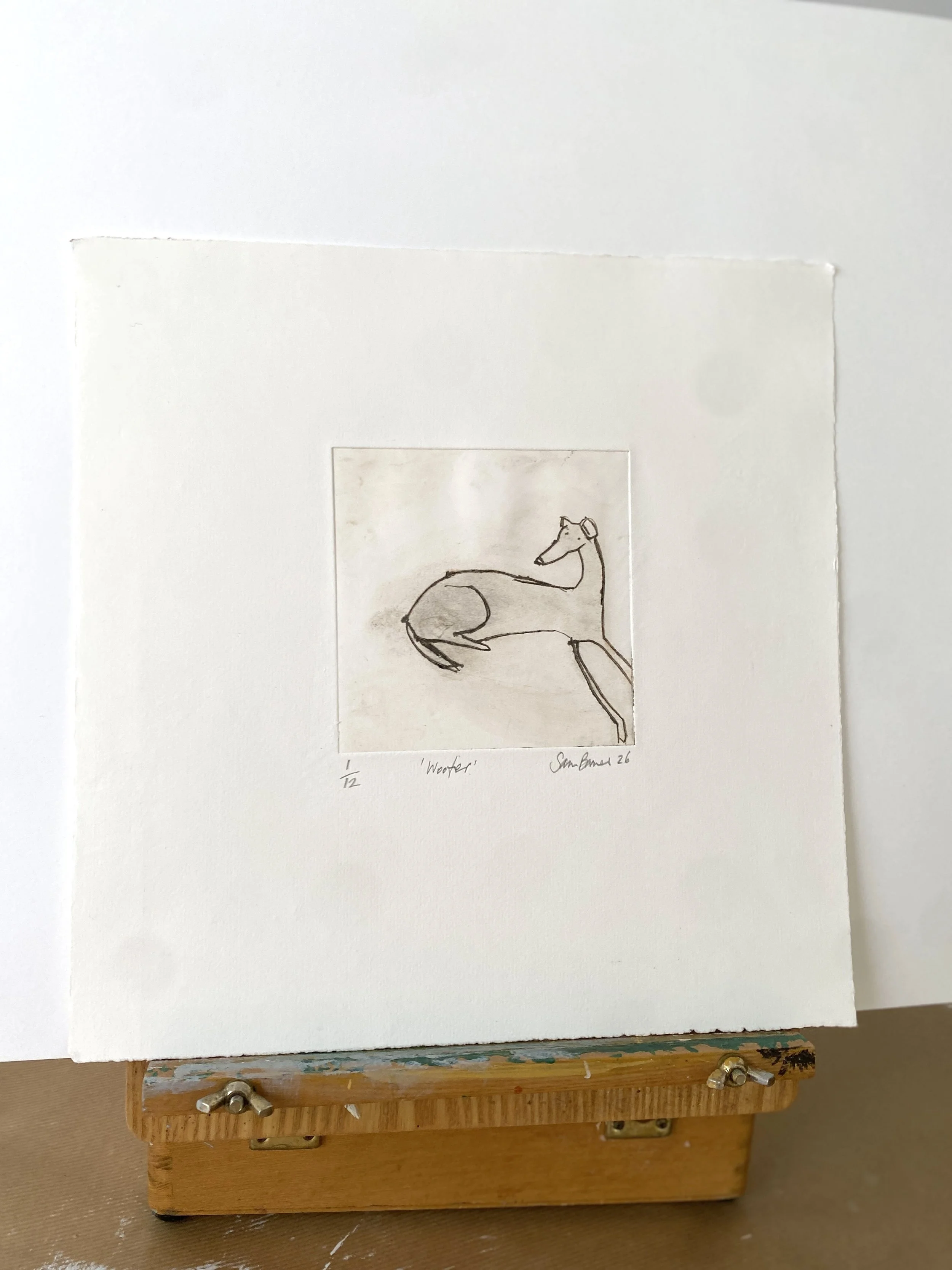 'Woofer'. Dog Drypoint Drawing by Samantha Barnes .JPG