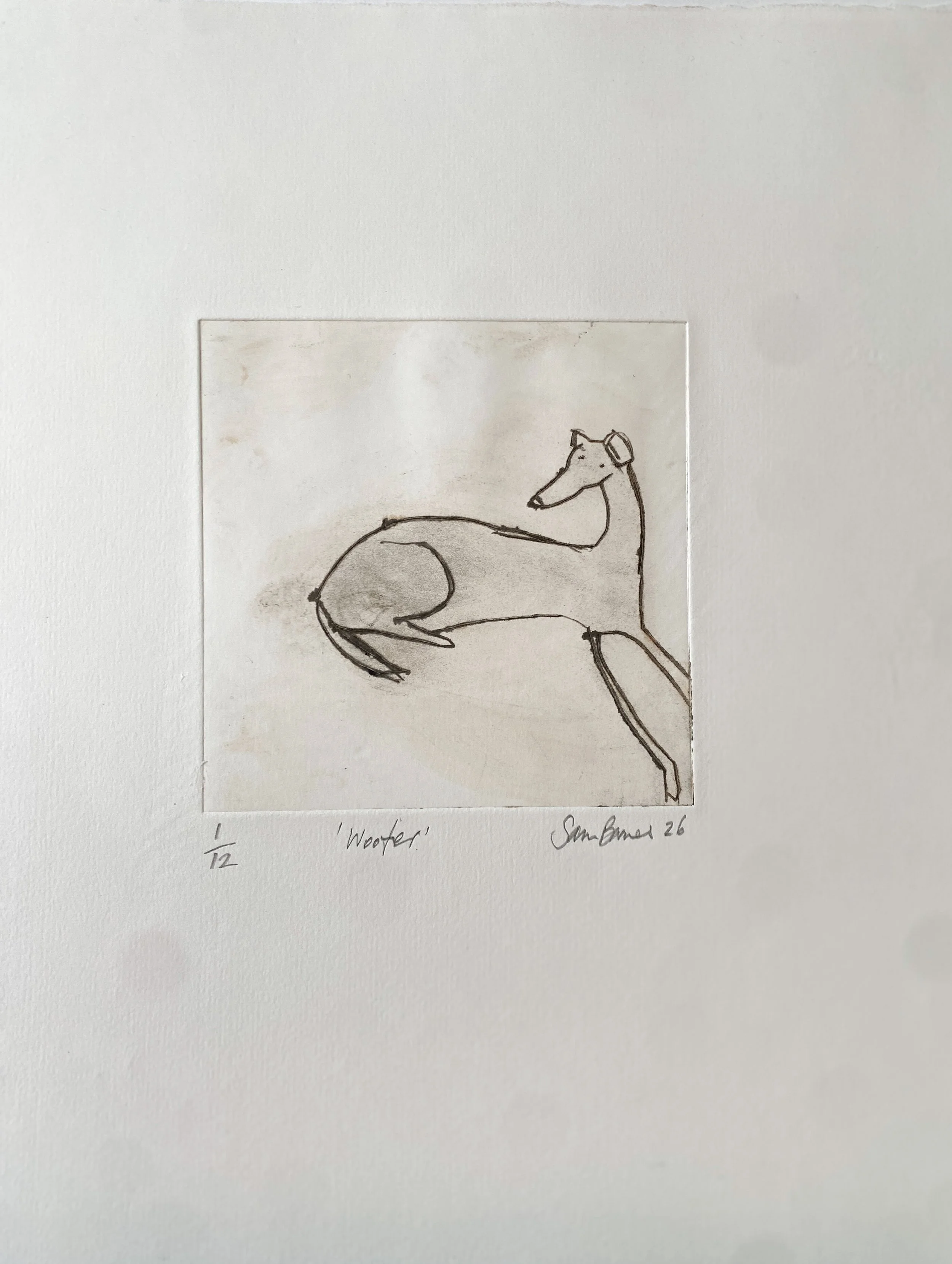 'Woofer'. Dog Drypoint Drawing by Samantha Barnes 3 .JPG