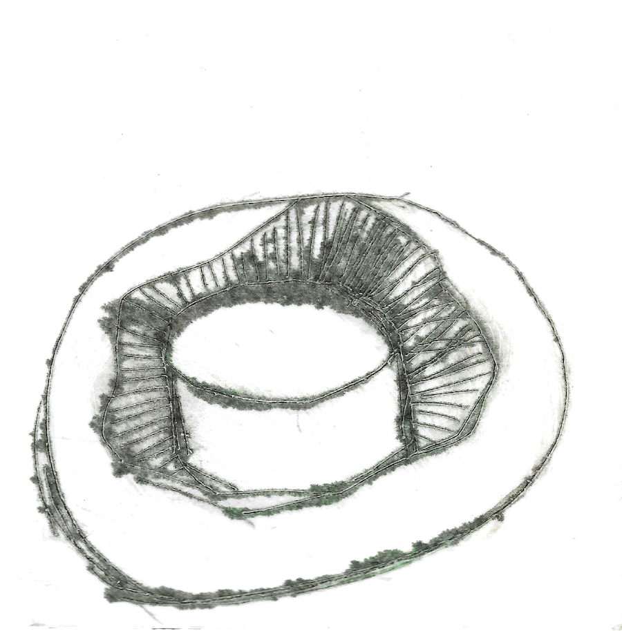 Mushroom Drypoint Scan by Samantha Barnes copy.png
