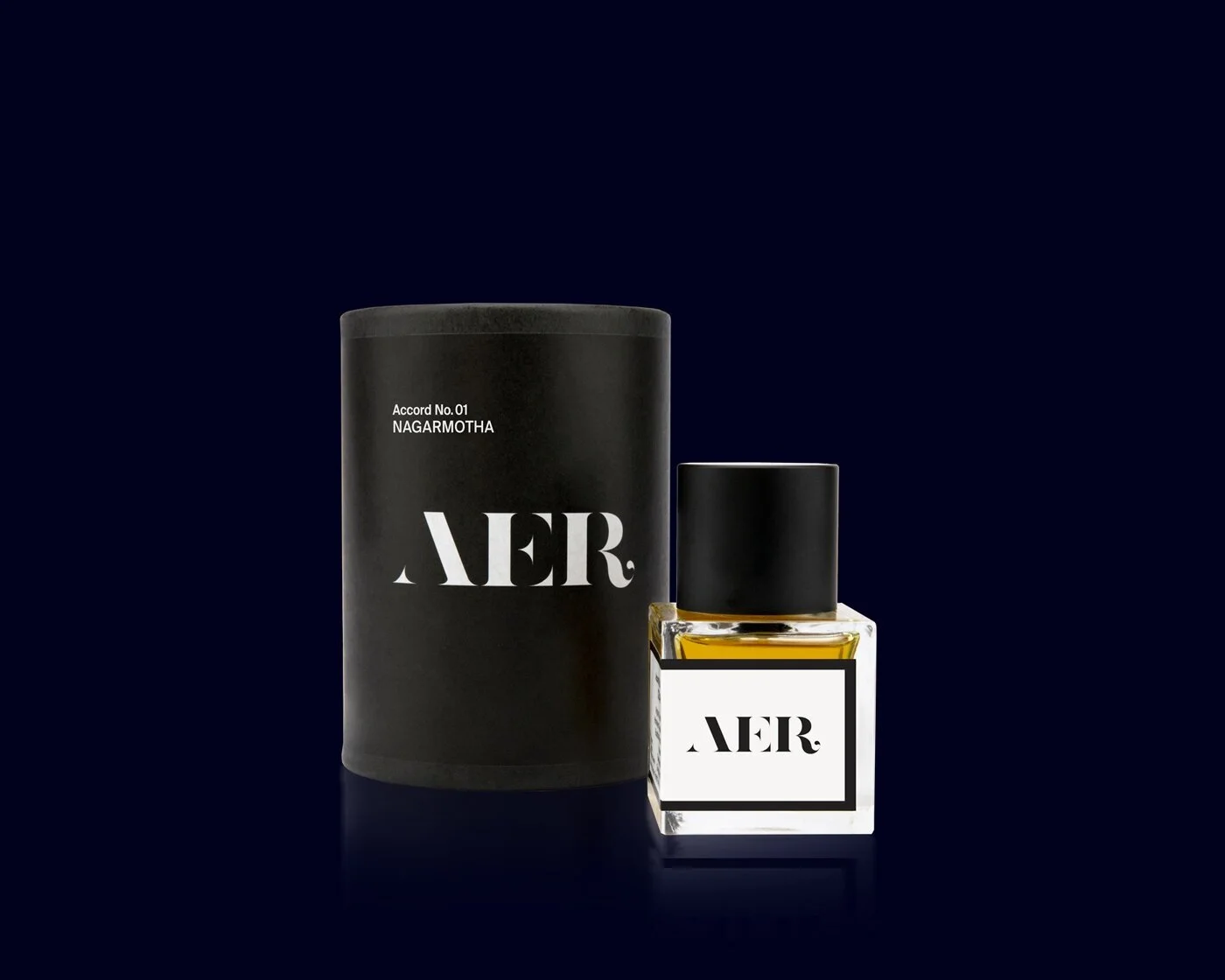 Aer Perfume 2025