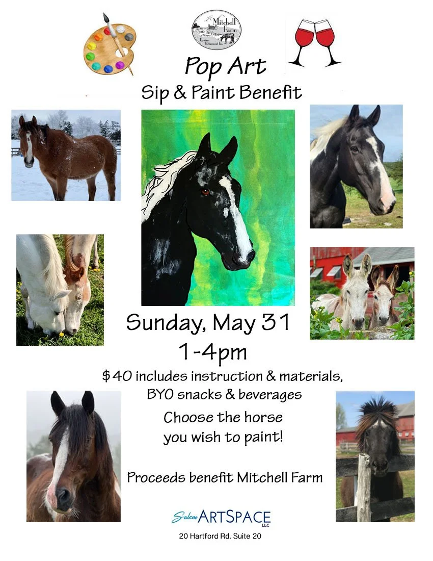 Pop Art Sip & Paint Benefit Mitchell Farm