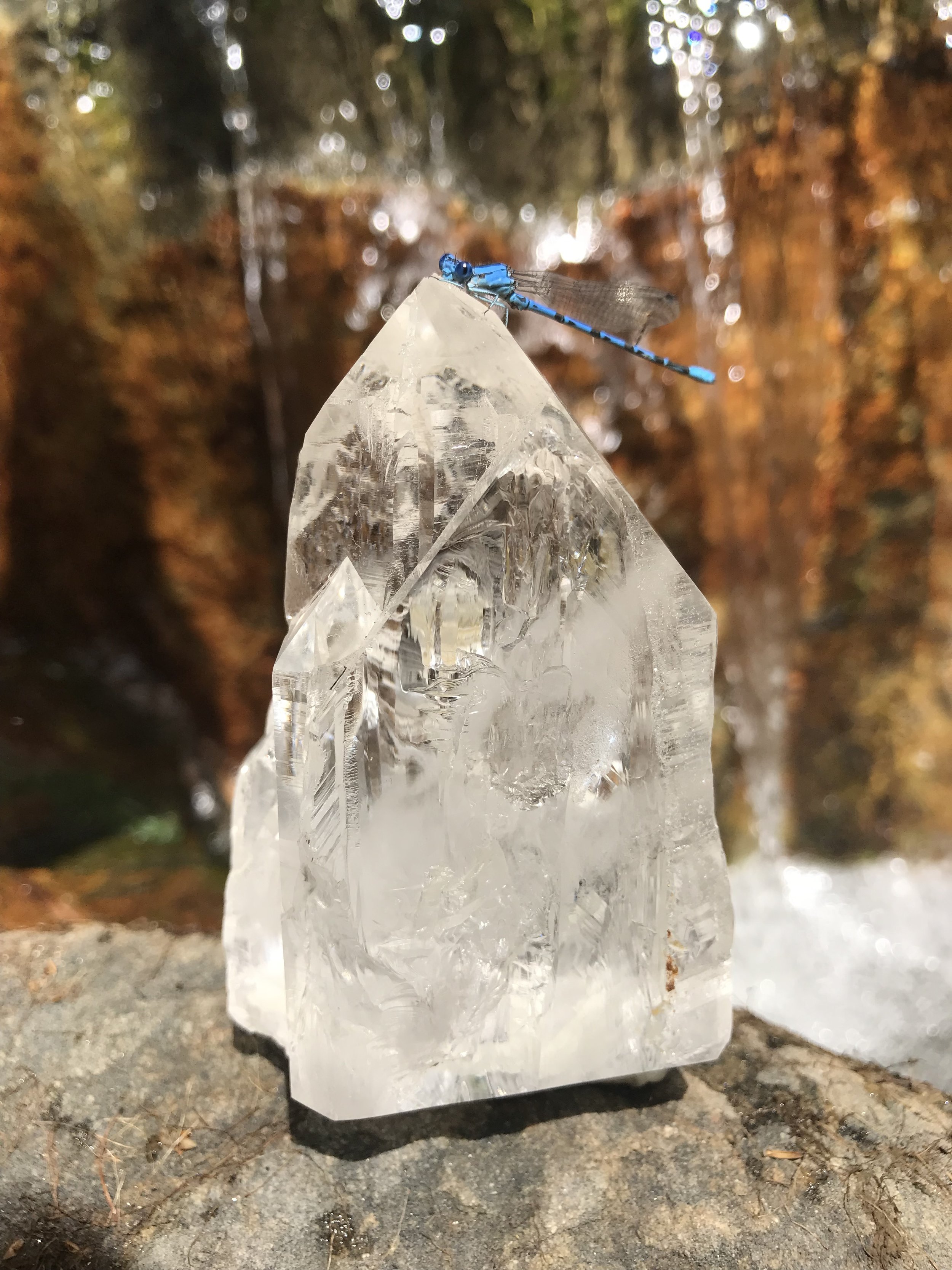 Dragonfly Quartz.jpg