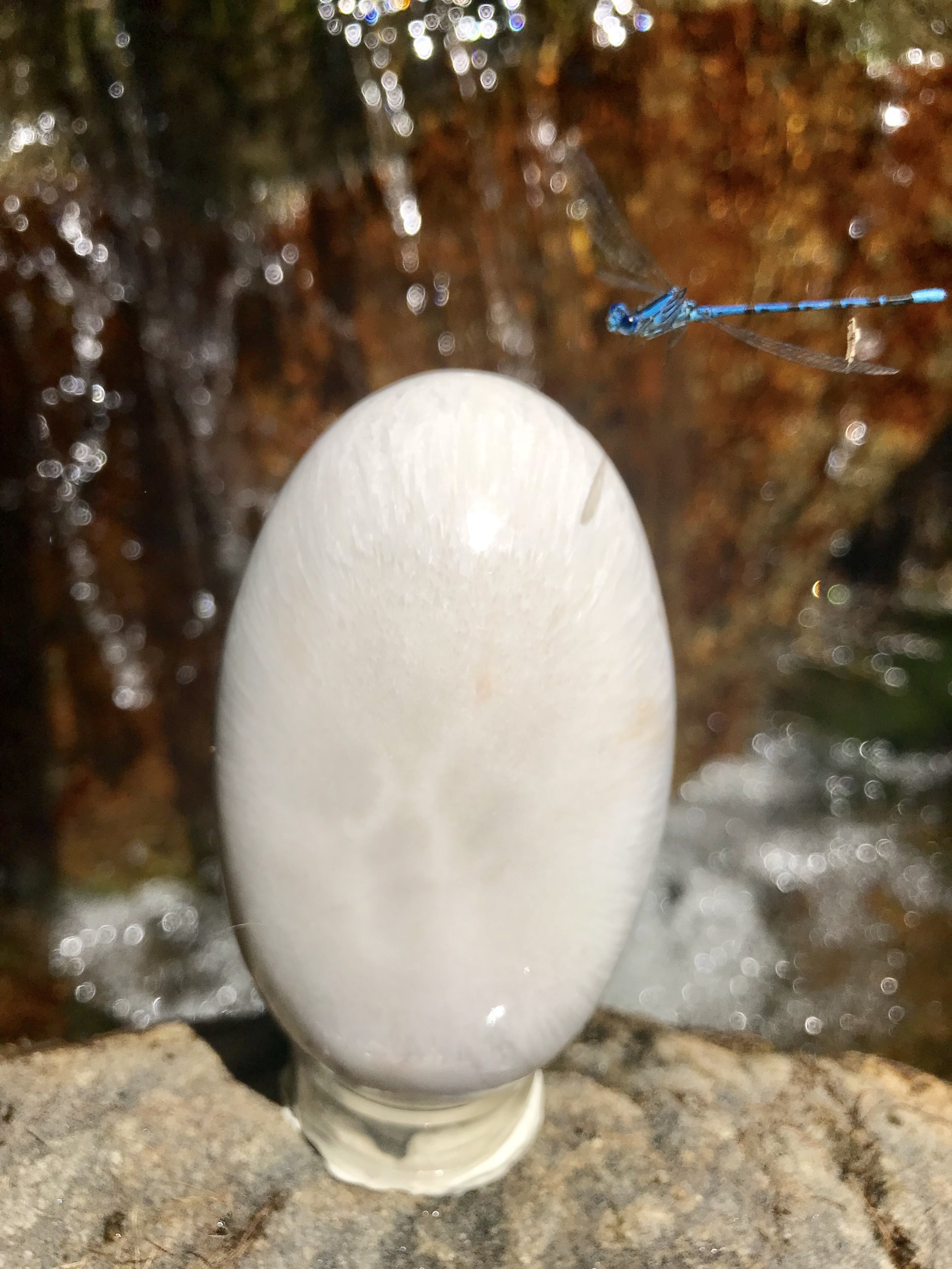 Dragonfly Blessings Scolecite Lingam.jpeg
